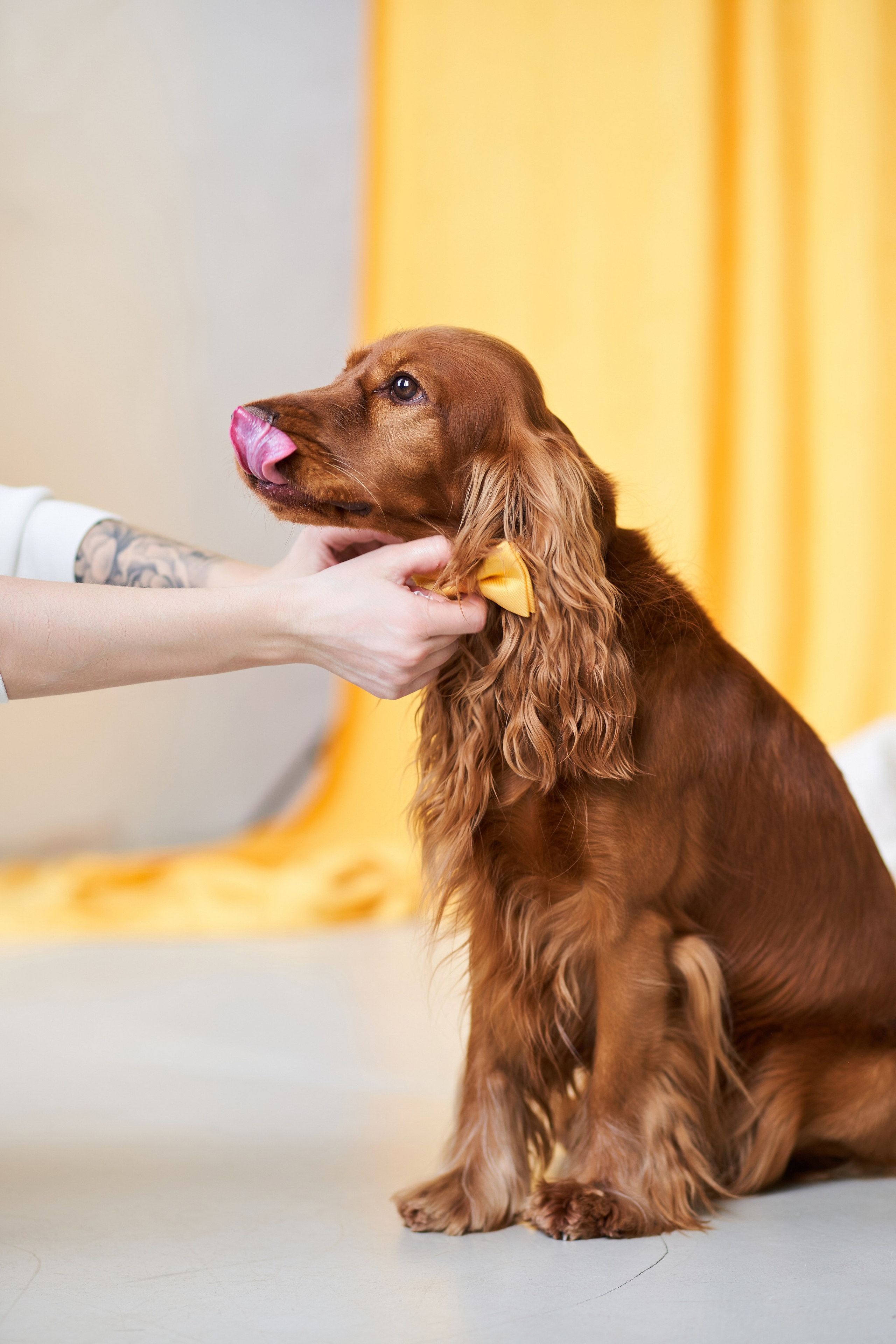 Галя и Гриша. Фотограф Александра