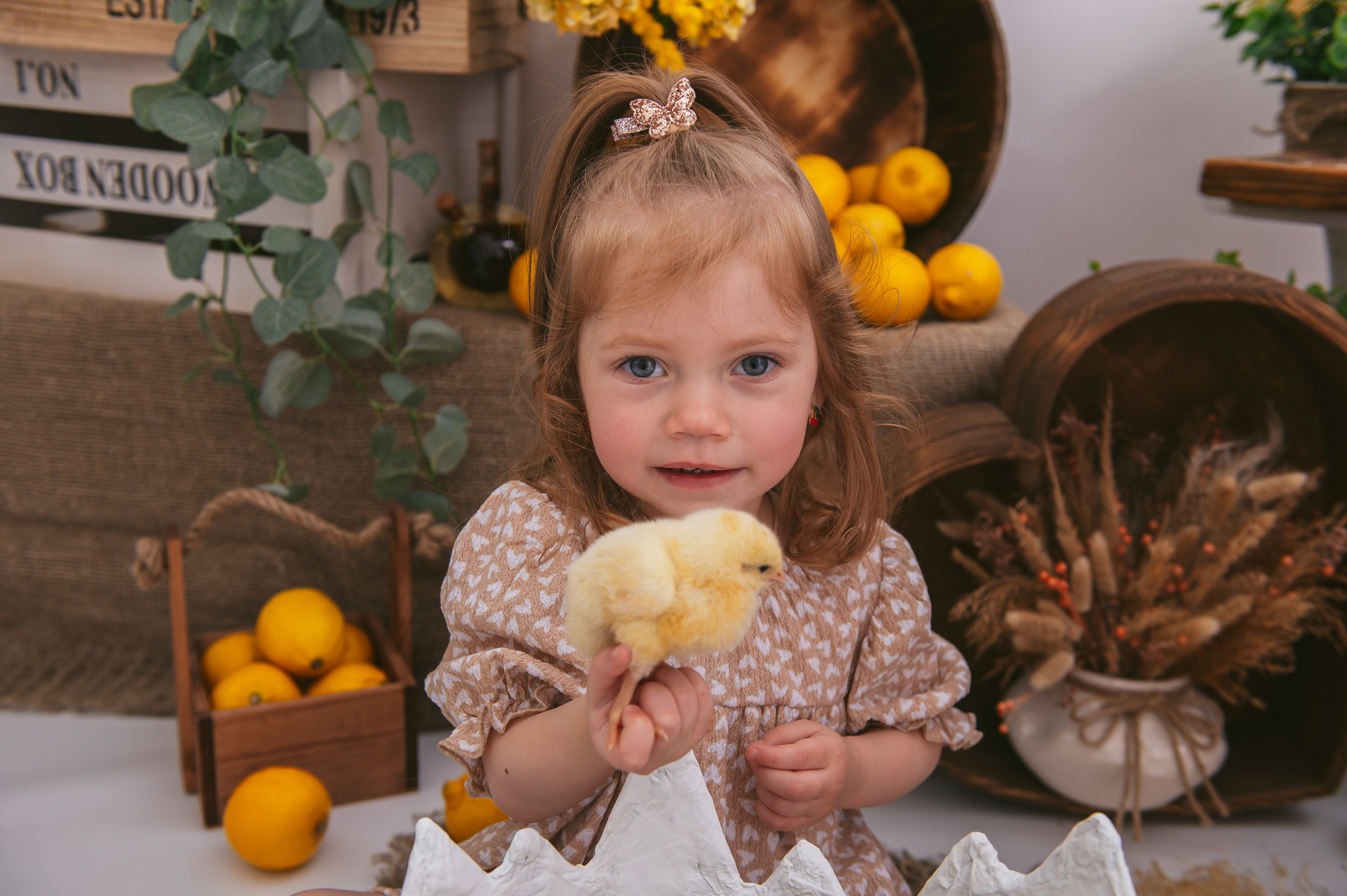 Цыплята. Детский фотограф Магадан