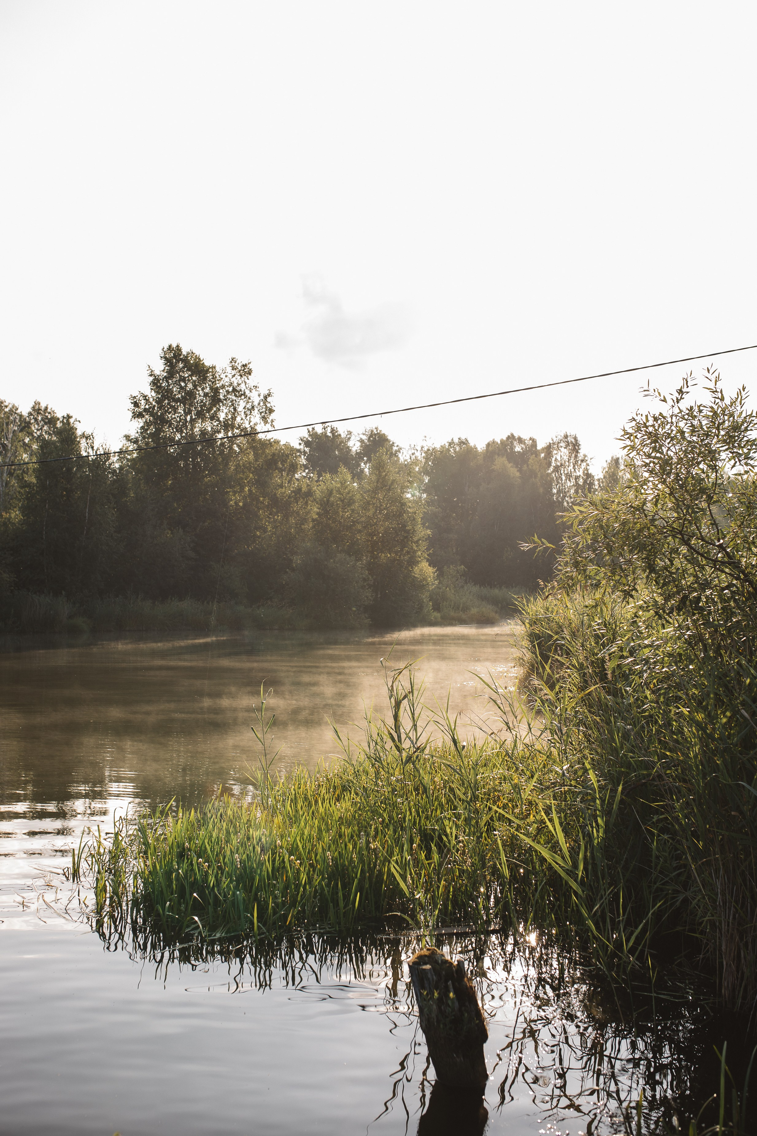 Крис в Истоке. Семейный фотограф Трусова Евгения в Екатеринбурге