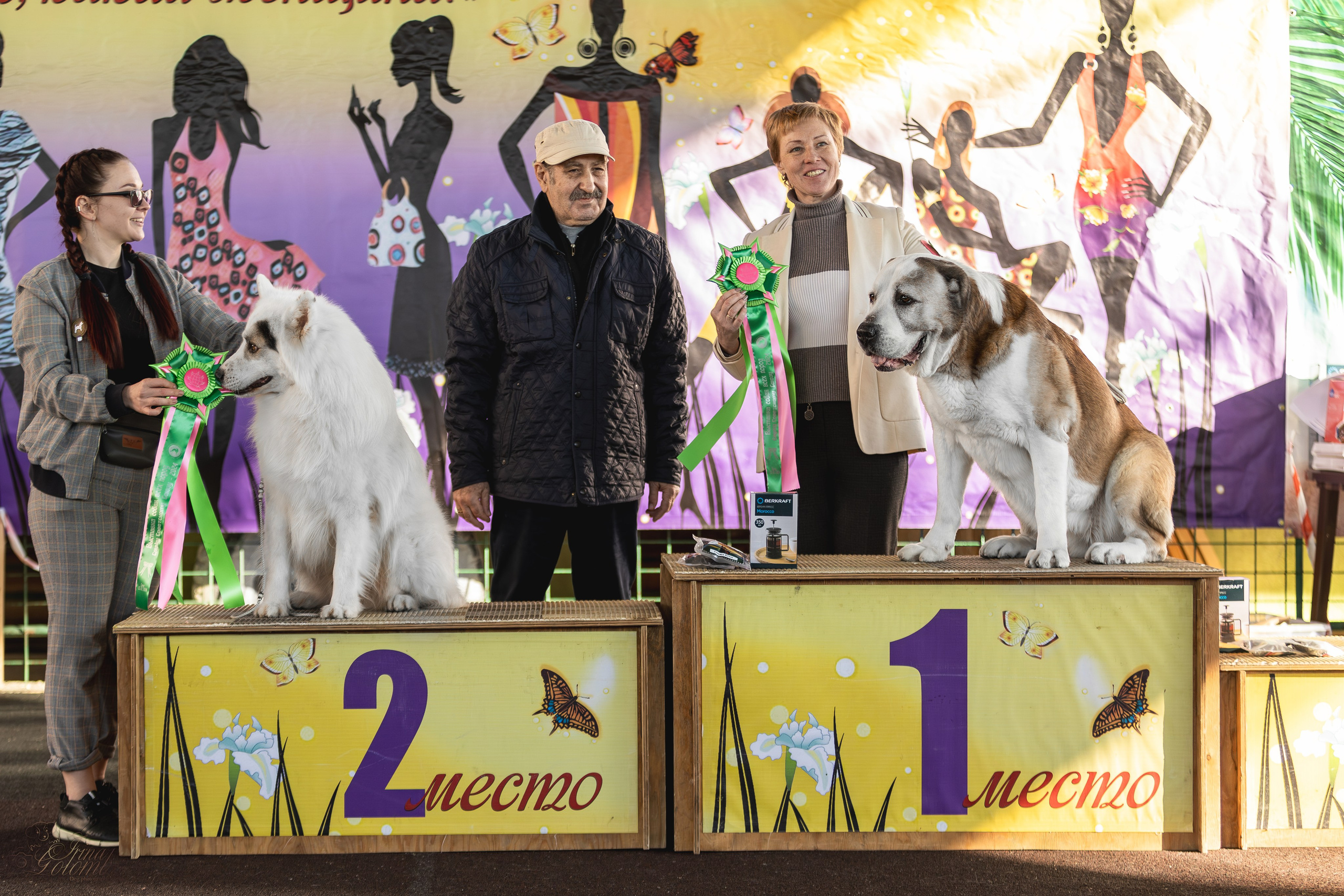 Выставка 25.02.2024. Ирина Голомб|Фотограф-анималист в  Сочи и Калининграде