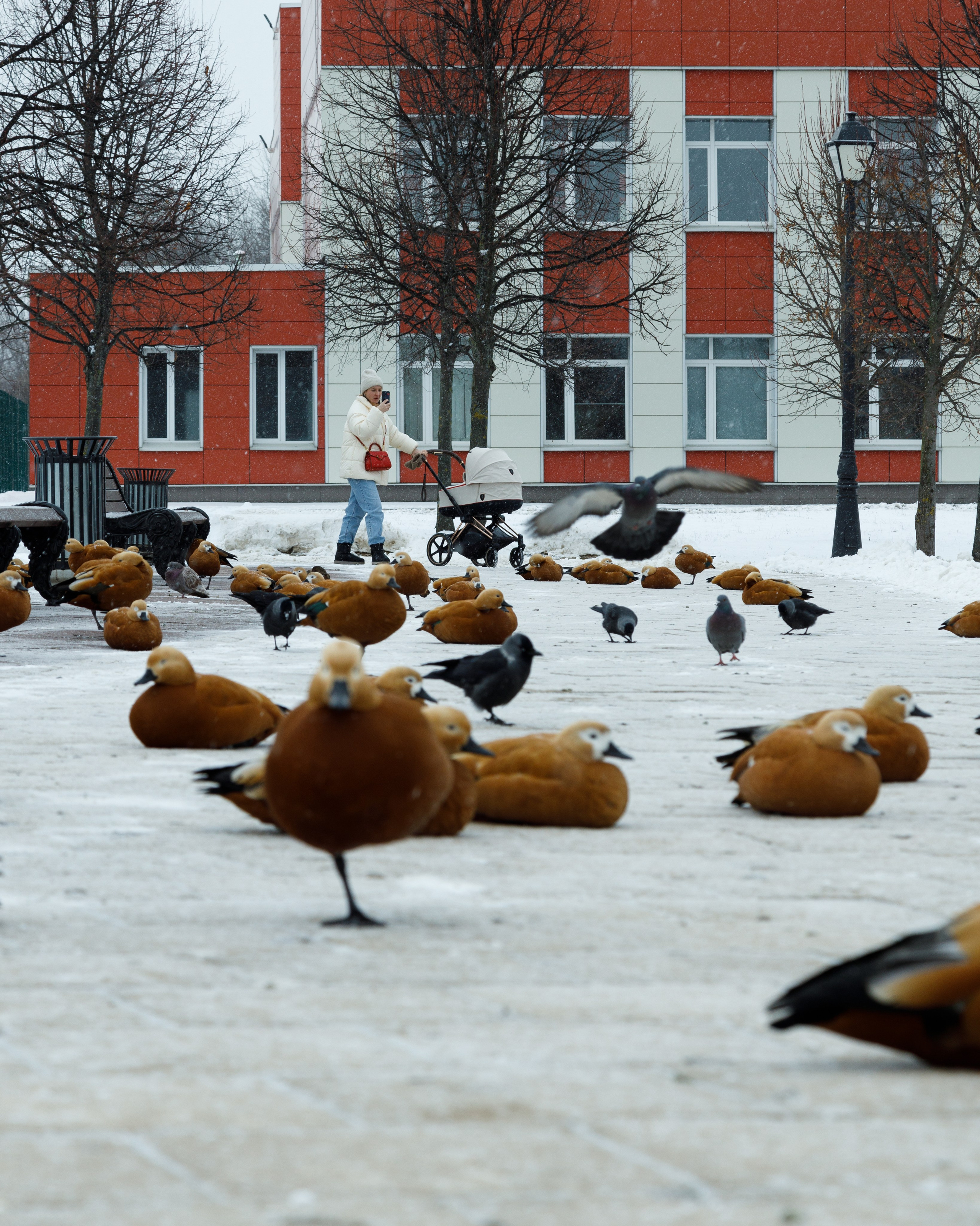 СТРИТ. Фотограф Павел Подшивалов