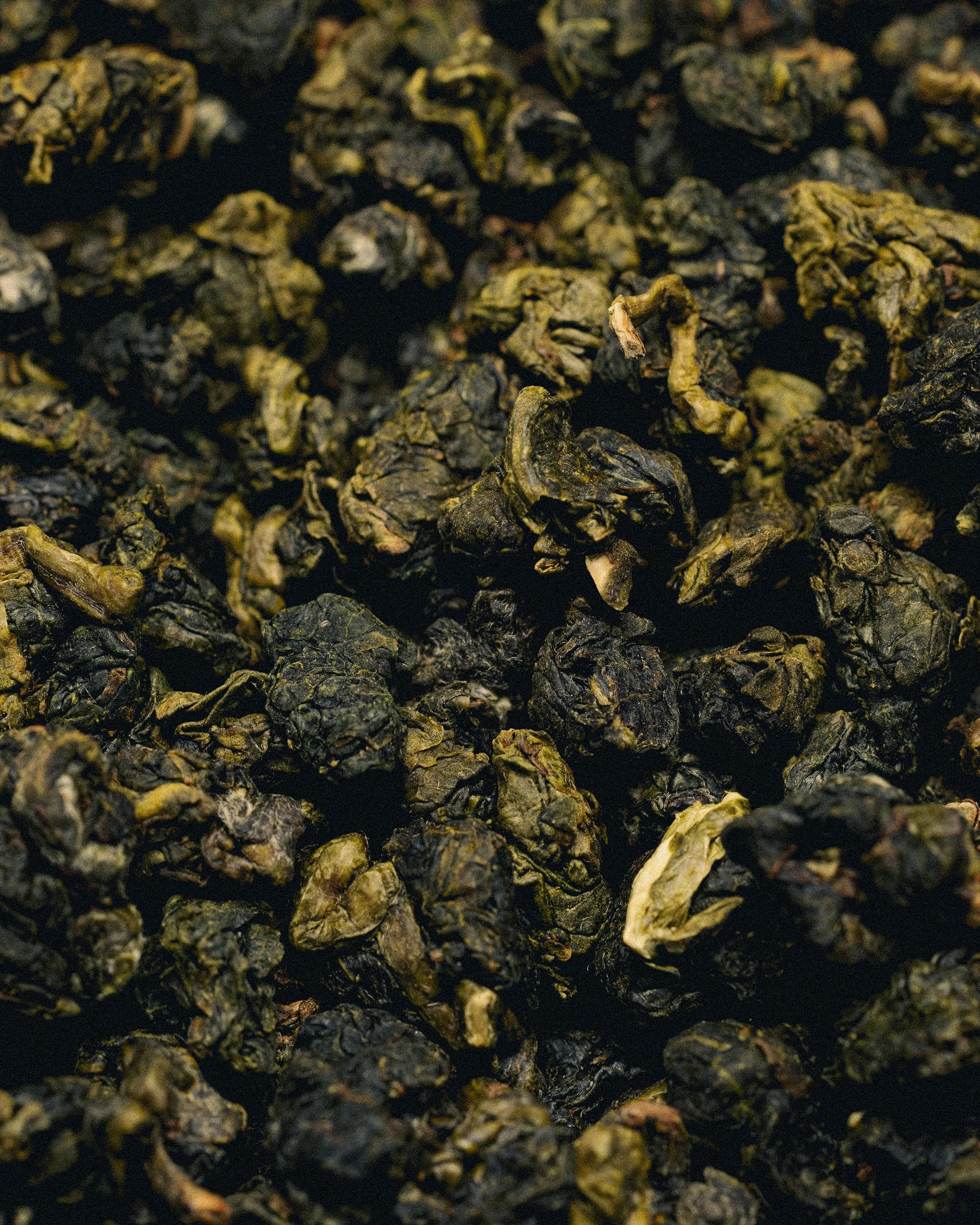 69 — CHA. Ivan Petrov photographer