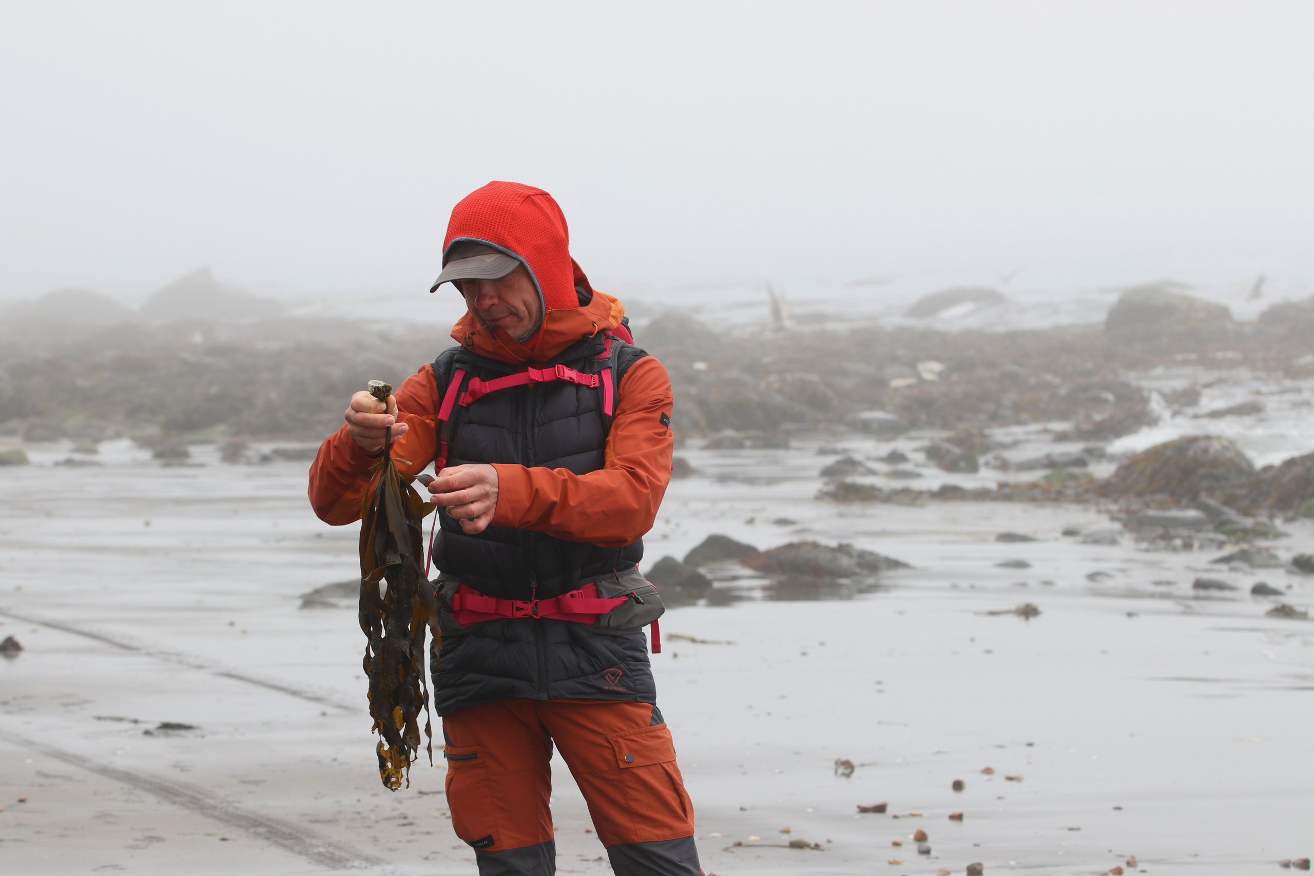 Камчатка и о. Парамушир. Июль 2024. Путешественник-фотограф из Санкт-Петербурга Татьяна Свистулина