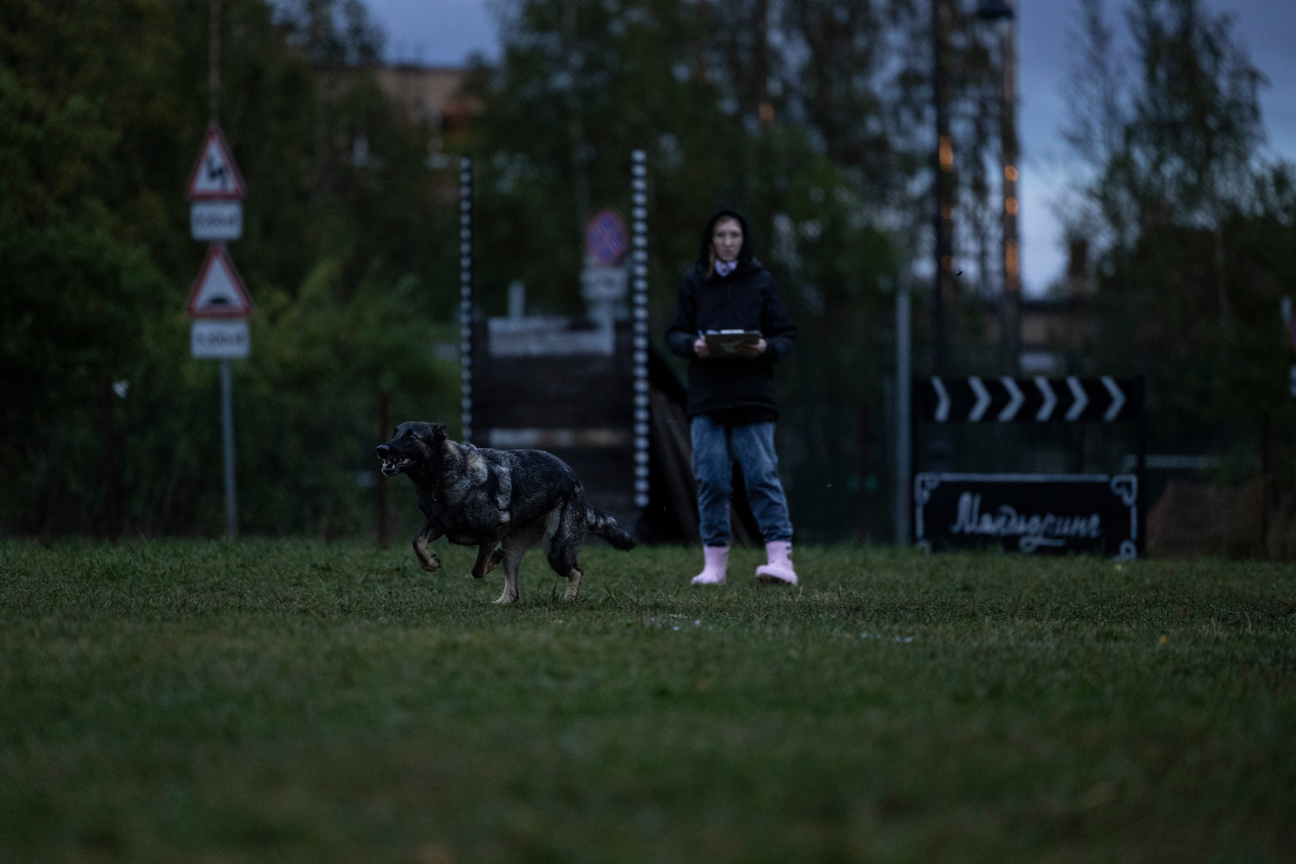 Испытания по Мондьорингу г. Пушкин. Фотограф-анималист Анна Маринич