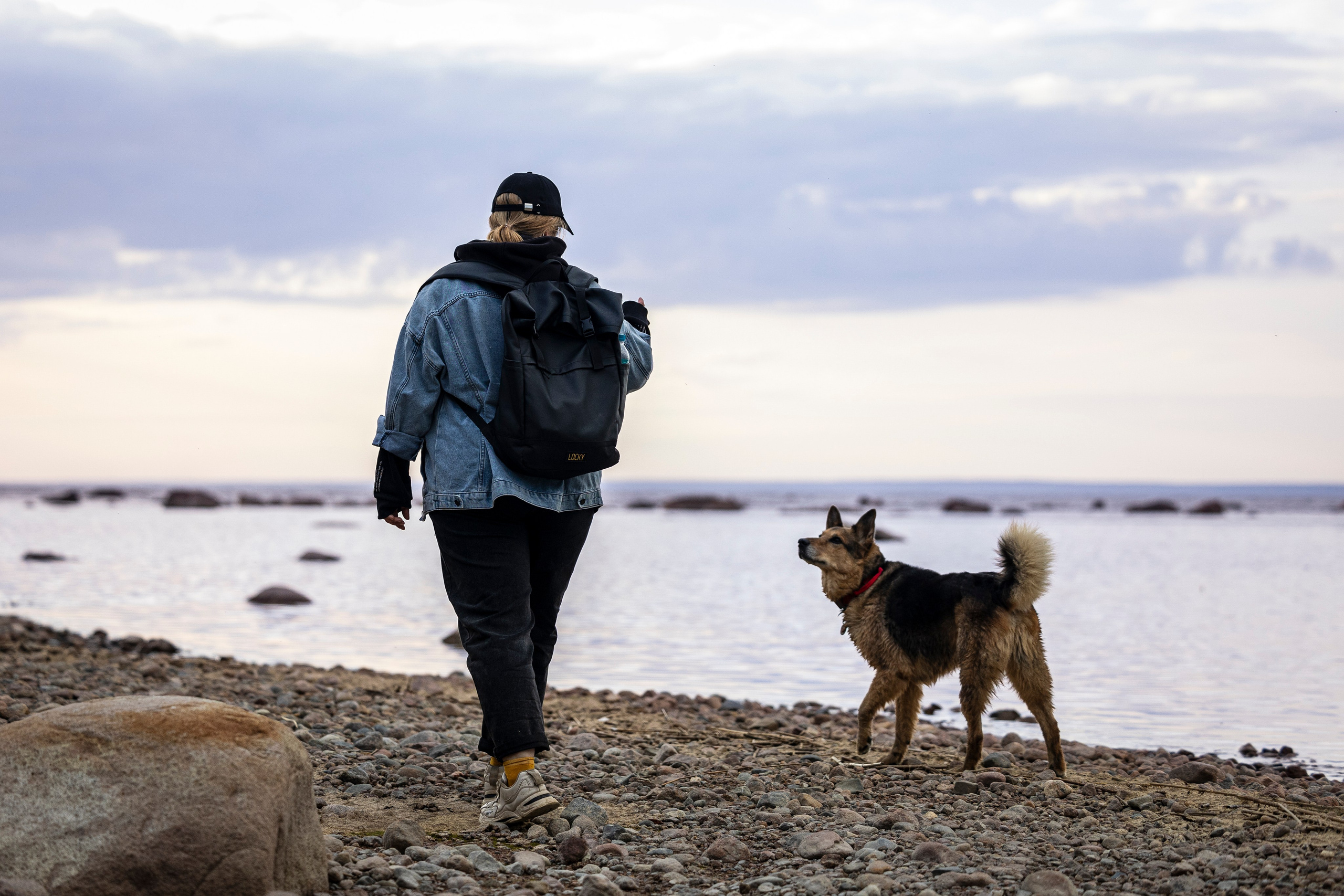 Ричард залив. Фотограф-анималист Анна Маринич