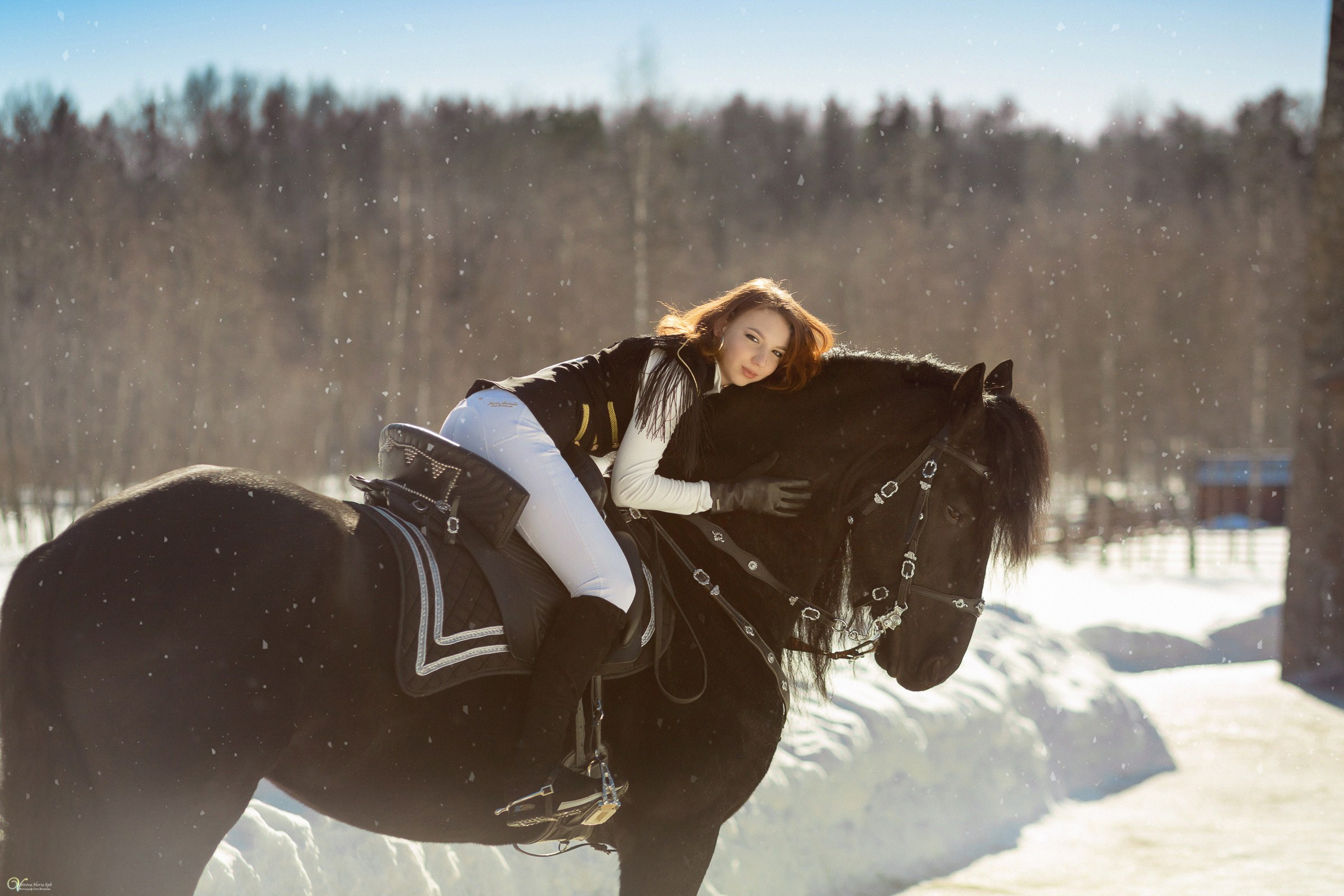 Фотосессии с лошадьми зимой. Фотограф женский и мужской портрет Санкт-Петербург