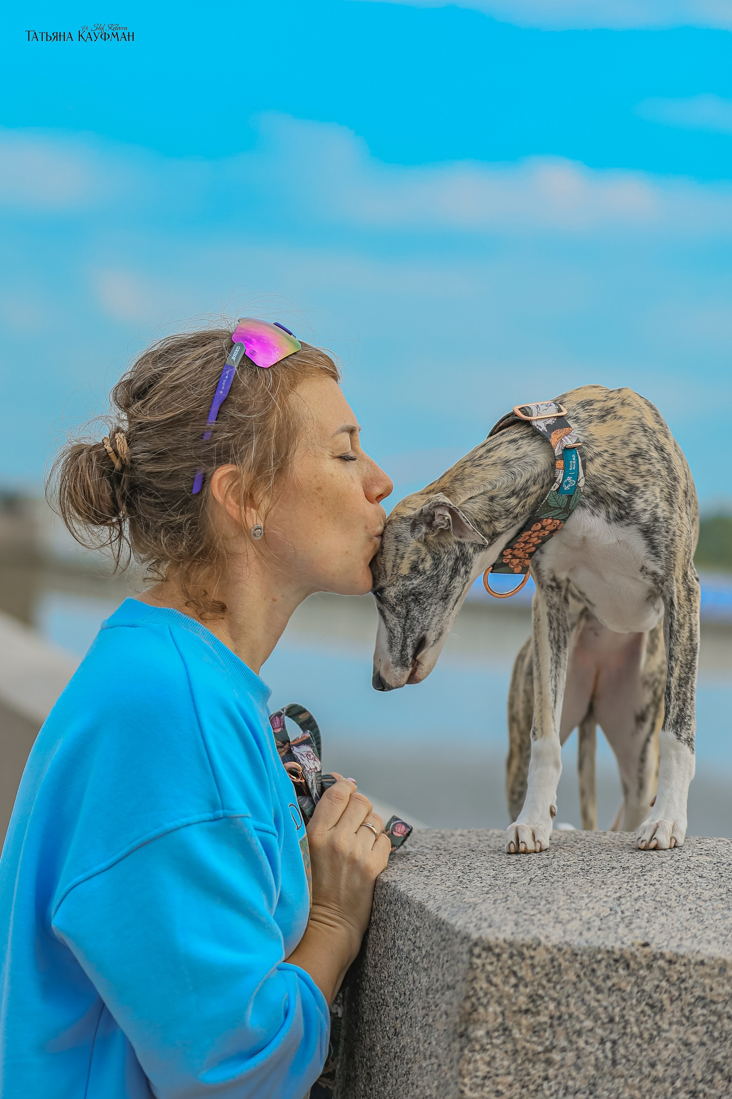 Уиппет, фотография уиппет, собака в цветах, красивая собака, фотограф анималист, фотокурс Анималистика, научиться фотографировать собак, фотограф Новосибирск