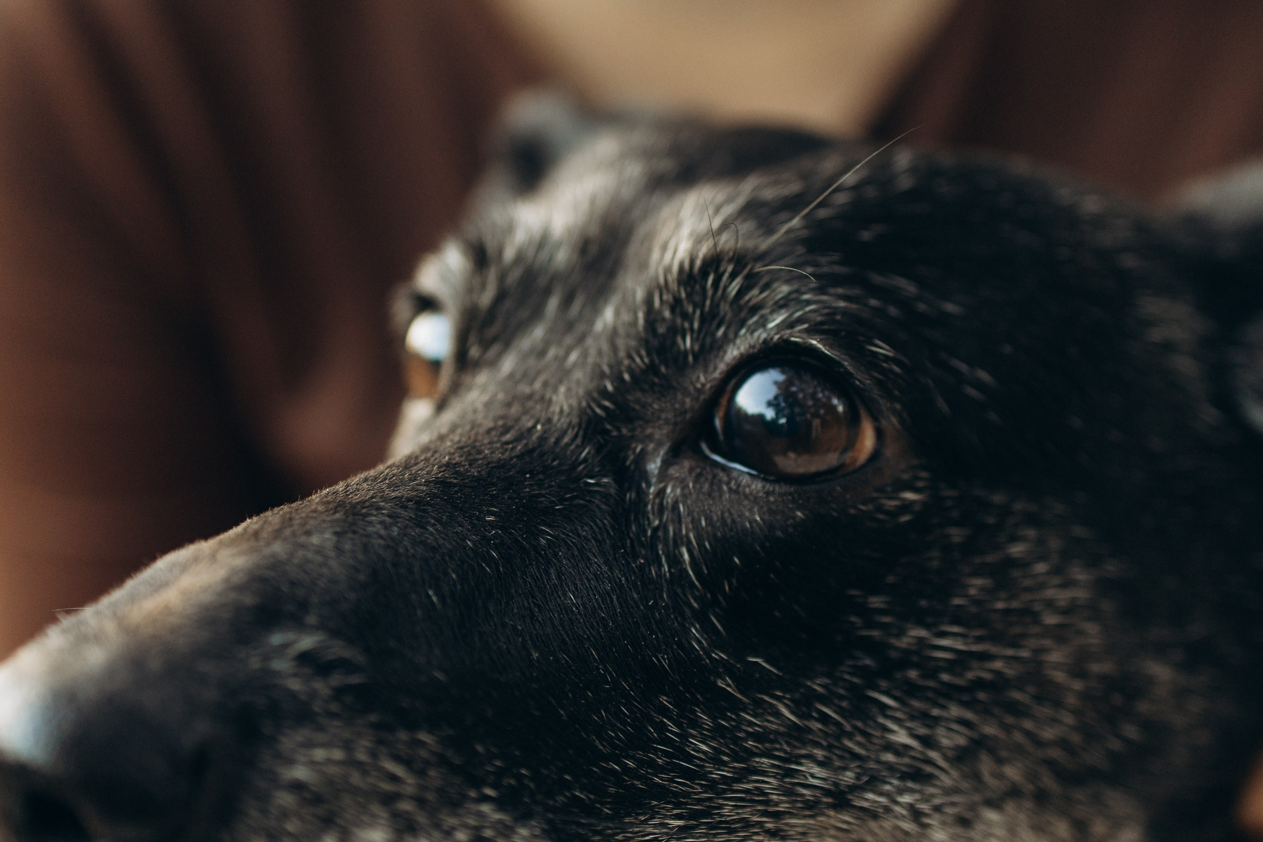Влад и Ксюша. Самый теплый фотограф в Краснодаре Рябоконь Ксения