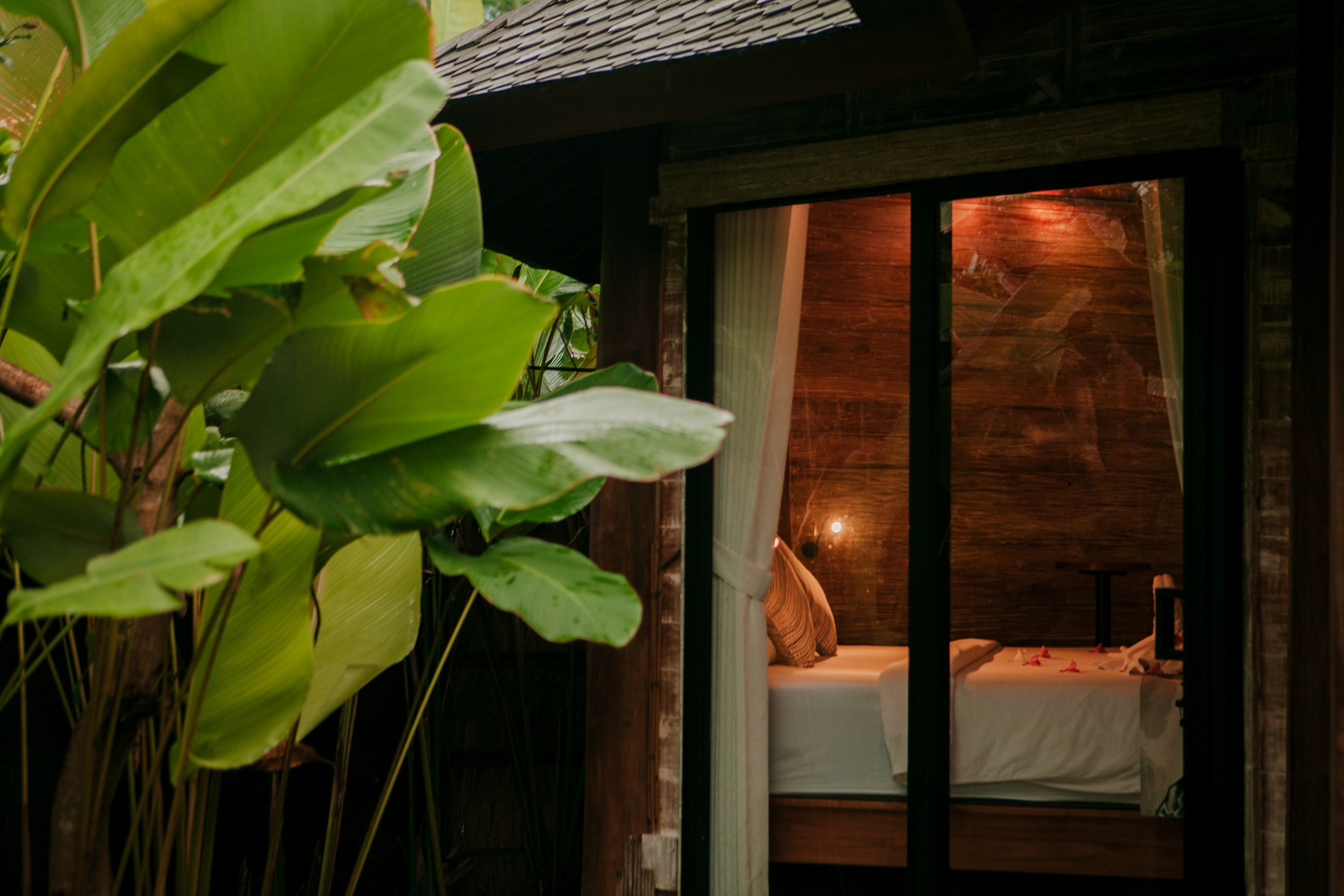 Вилла Sunrise Bali. Виолетта Скрипка