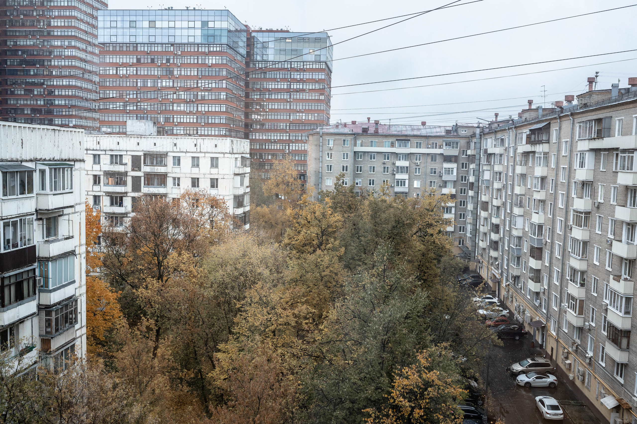 Осенняя фотосессия в Москве (во дворе дома)). Фотограф на роды Москва. Фотограф новорожденных Москва