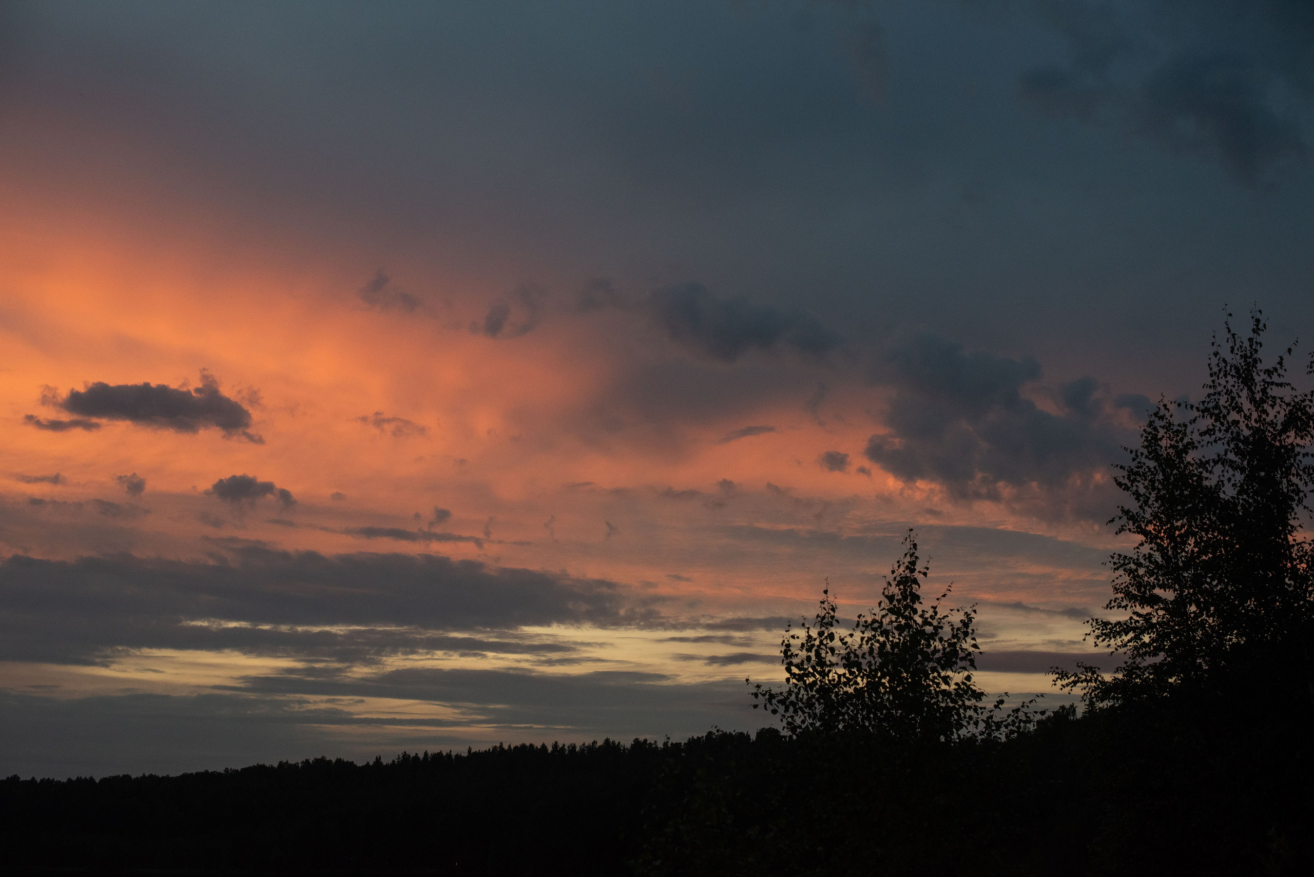 Алина & Владимир. Фотограф Кирилл Ряховский