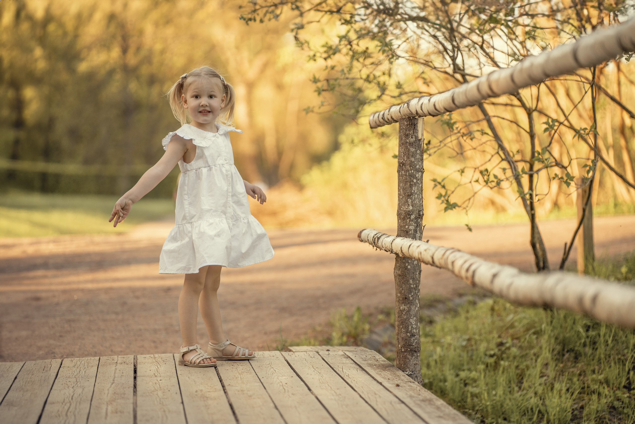 Фотопрогулка в Павловском парке