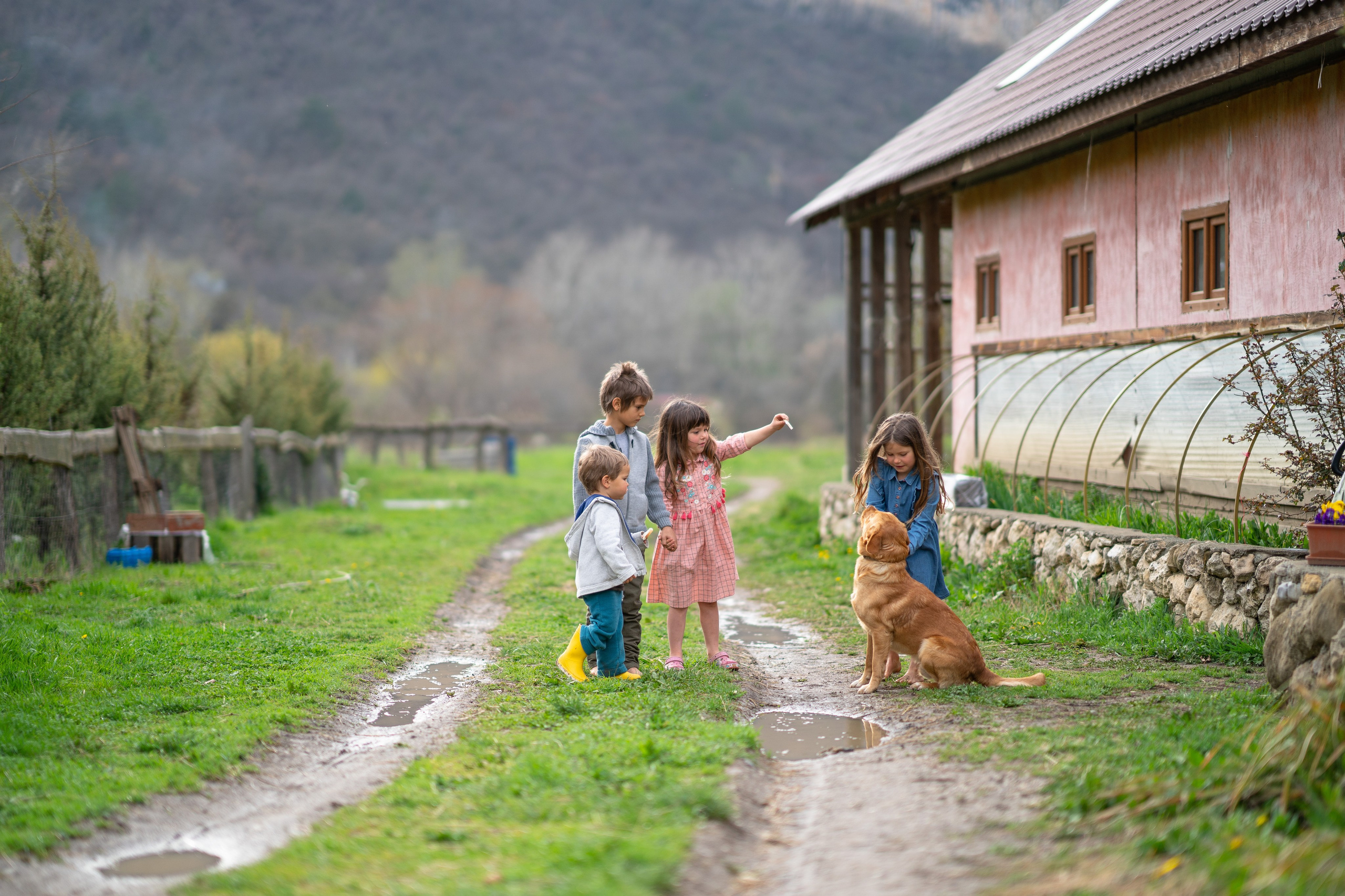 Портфолио. Карнеева Елена. Детский, семейный фотограф
