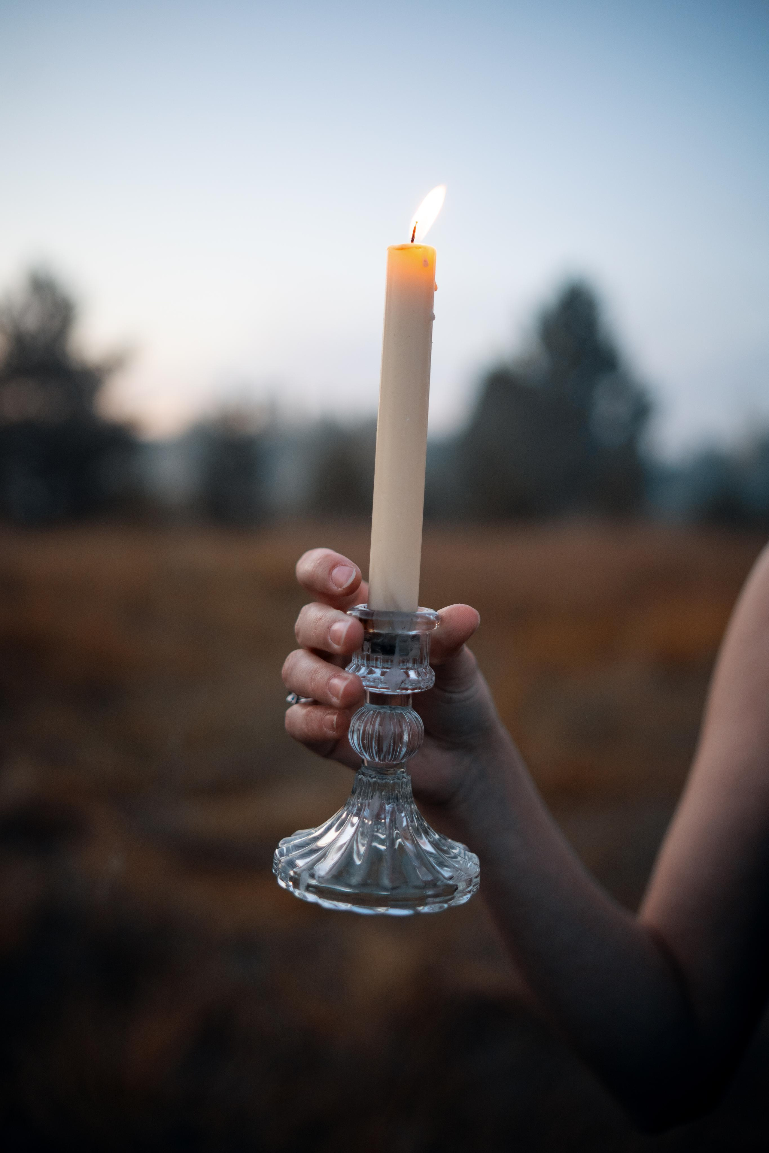 Эвина (15.09.2023). Felixtones