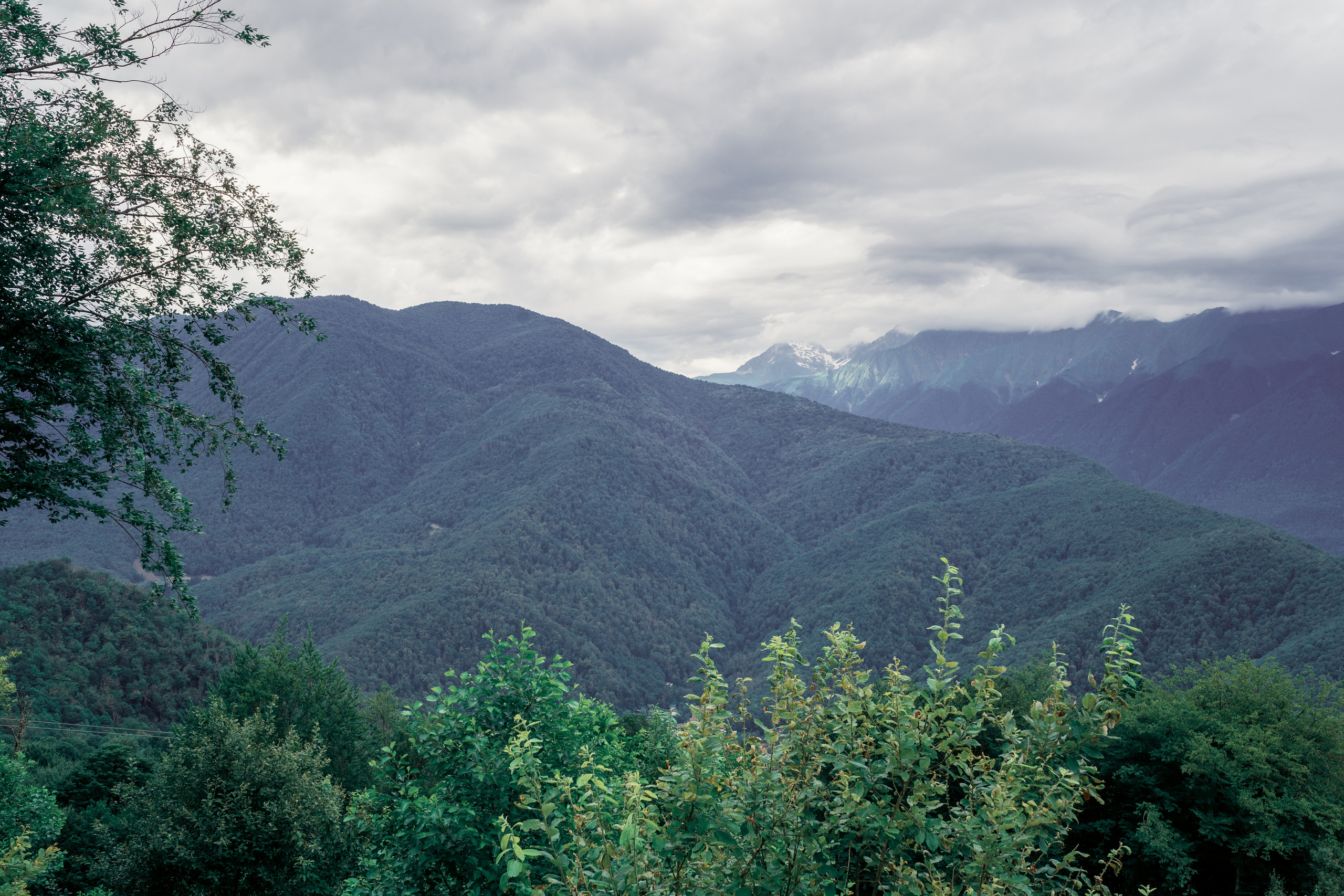 Sochi 2023. Felixtones