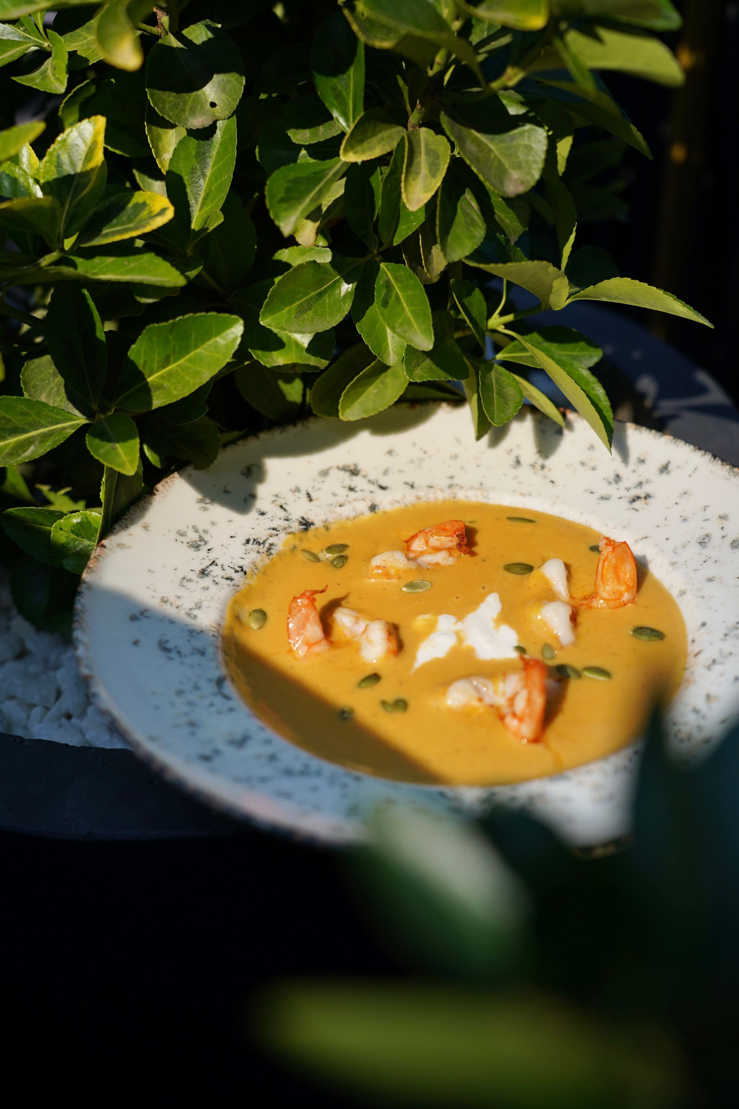 Контент для бизнеса. Универсальный фотограф в Геленджике Сидорина Кристина