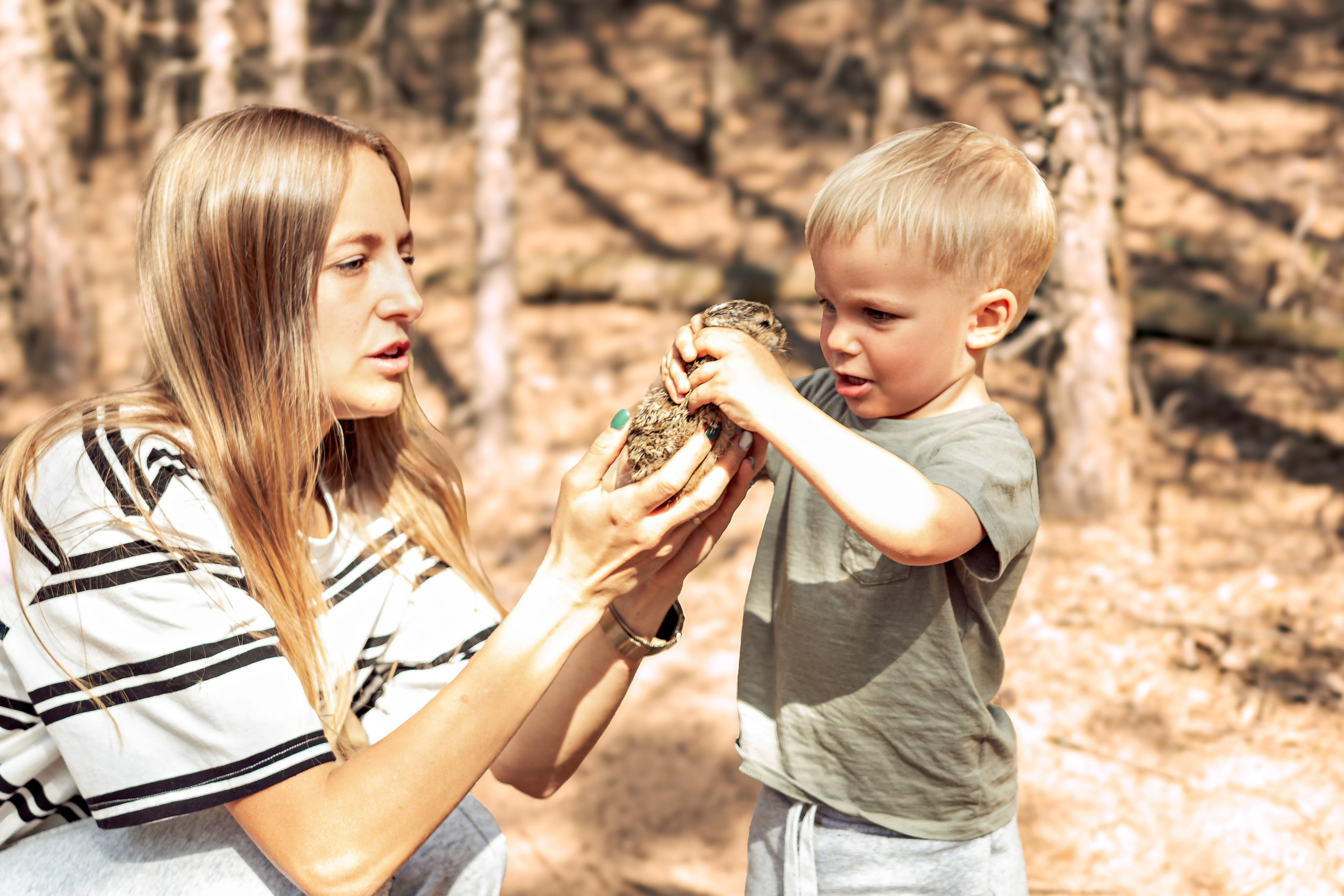 Семейная фотосессия в лесу