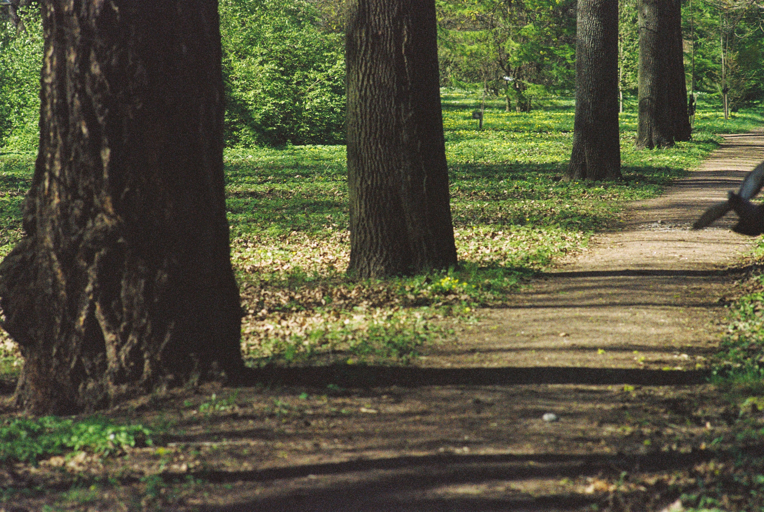 Плёночная весна 2025. Илья Михачёв Фотограф ПРО людей