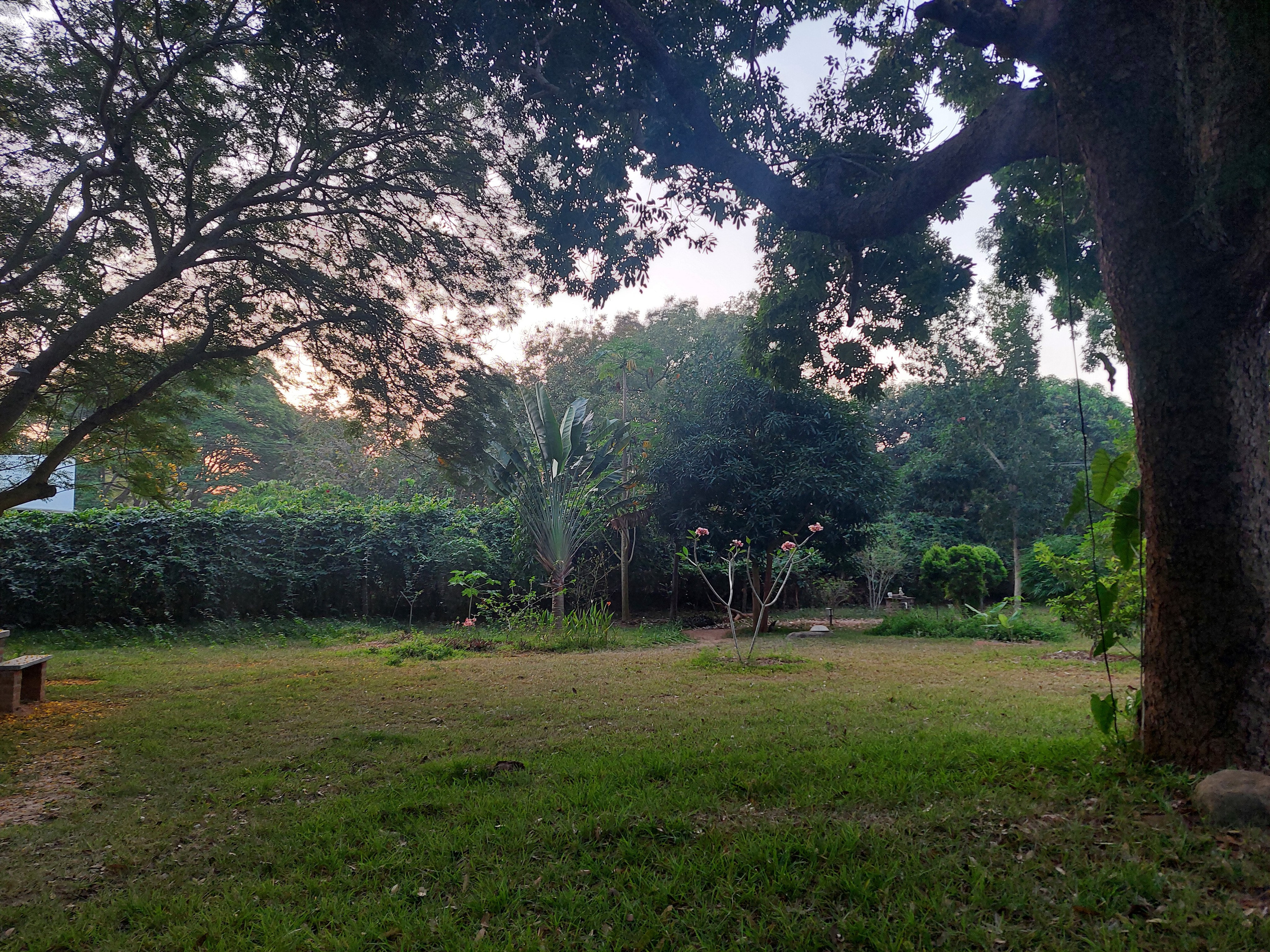 Дровяной обжиг в Индии — 2023. Керамика с историей. Елена Рогалёва