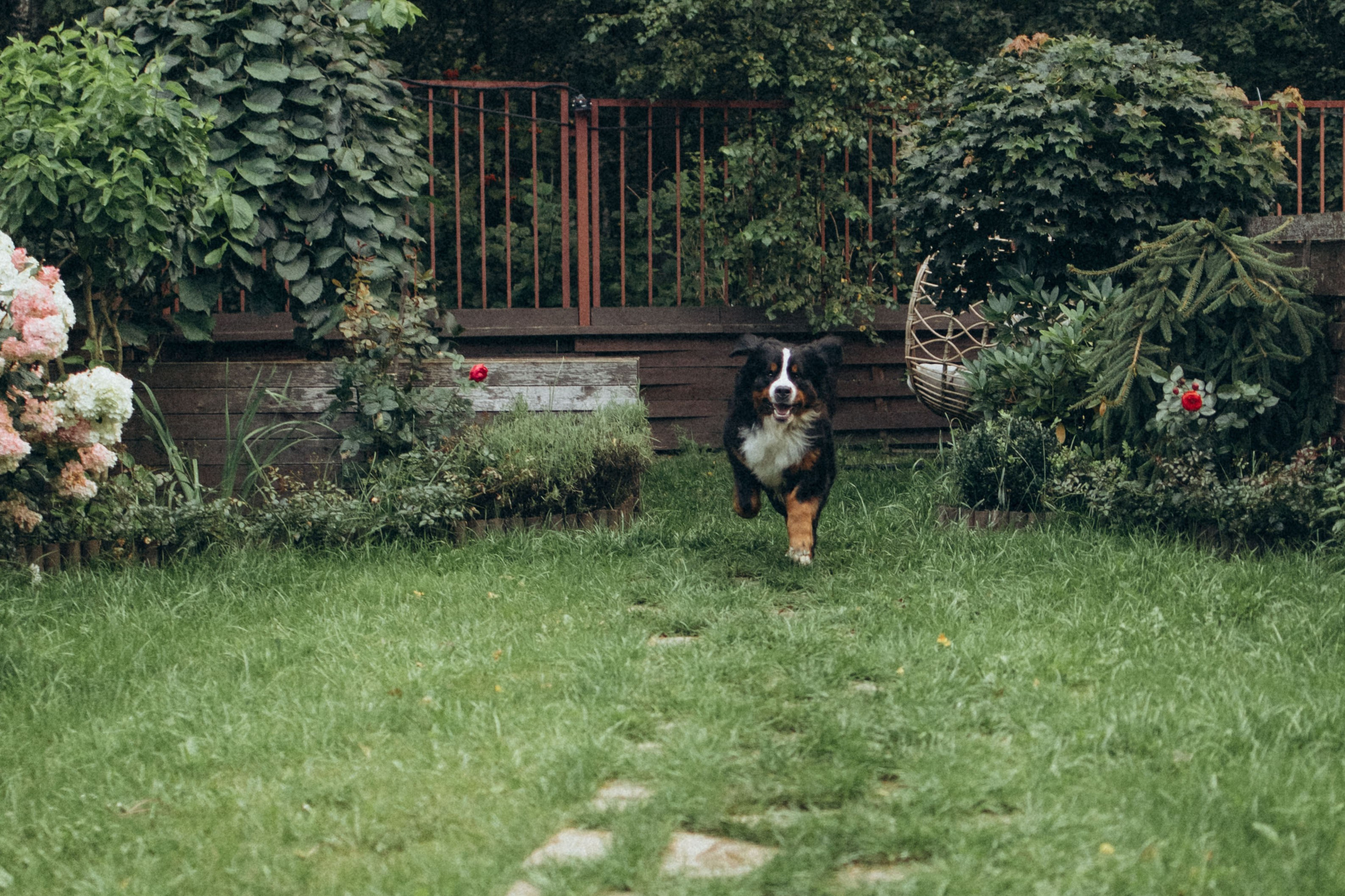 Таня и Тери