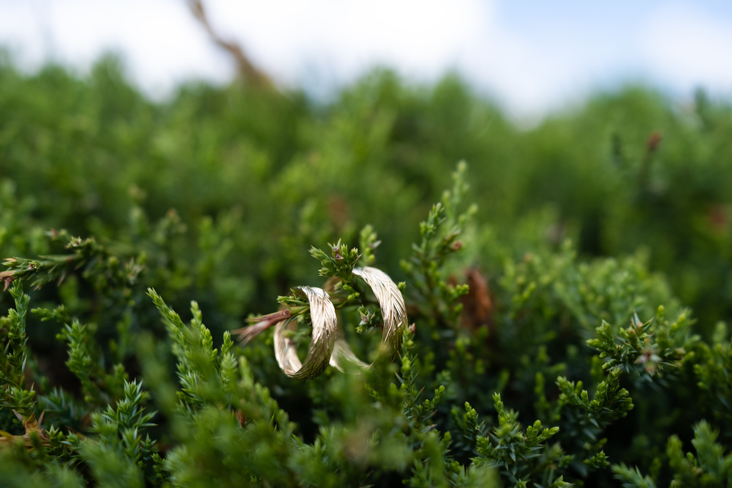 Свадьба Кристины и Дениса. Главная