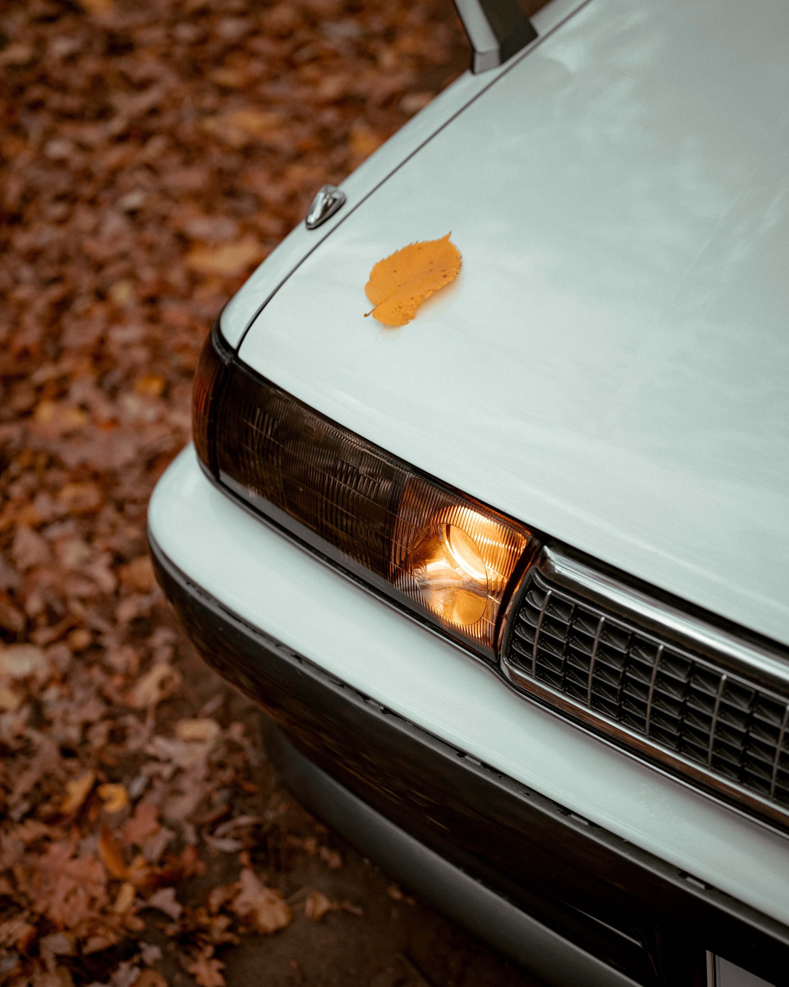 Toyota cresta. Фотограф Александра Волкова | Волгоград