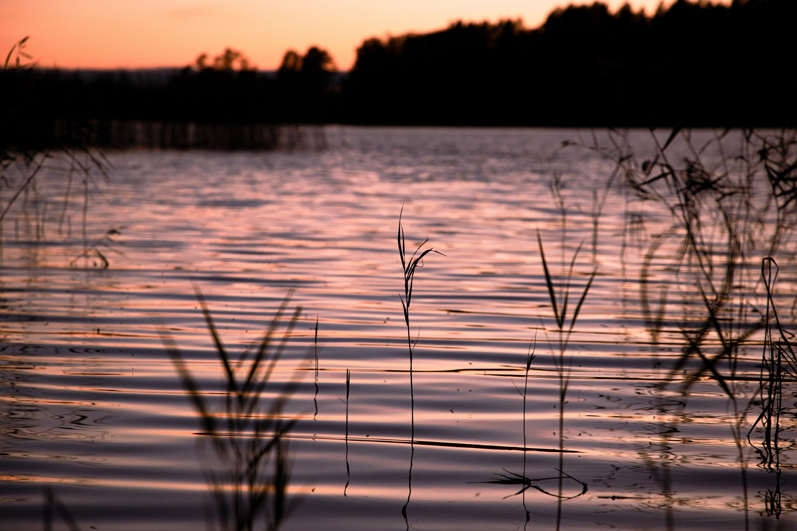 Вуокса. Фотограф Алексей Шуля — портфолио