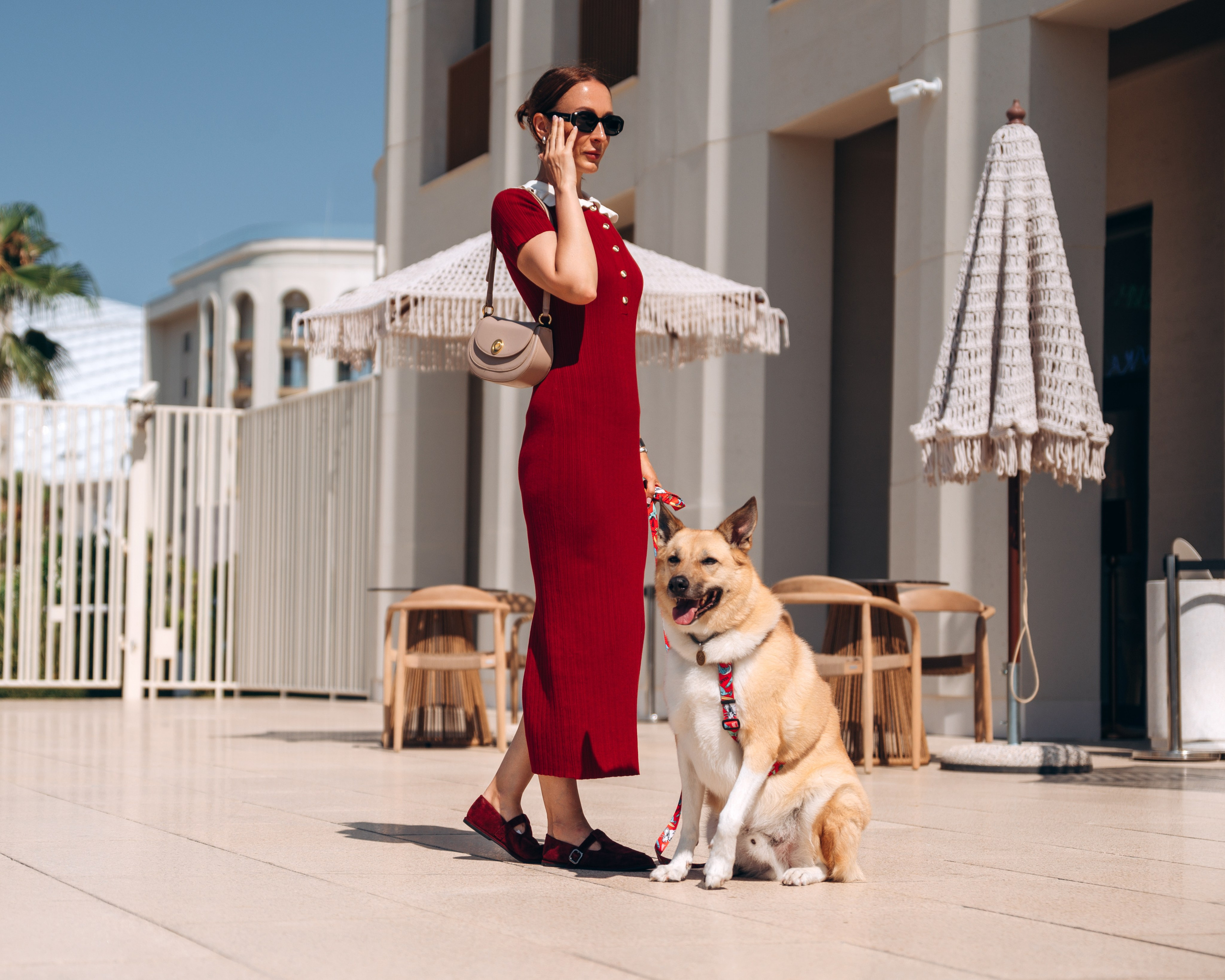 Животные. Фотограф Сочи-Краснодар