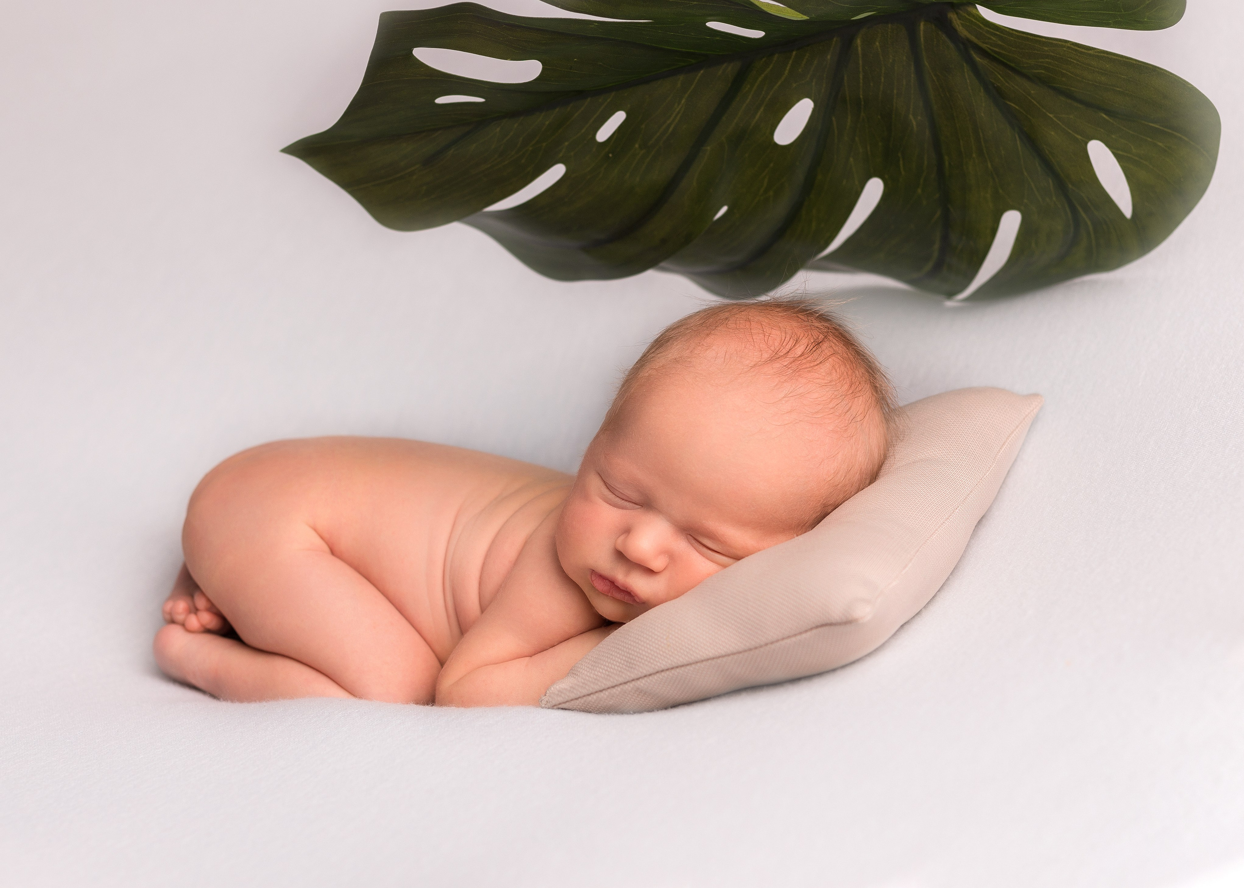 Фотографии новорожденных детей. Фотограф новорожденных в Омске Анастасия Моисеева