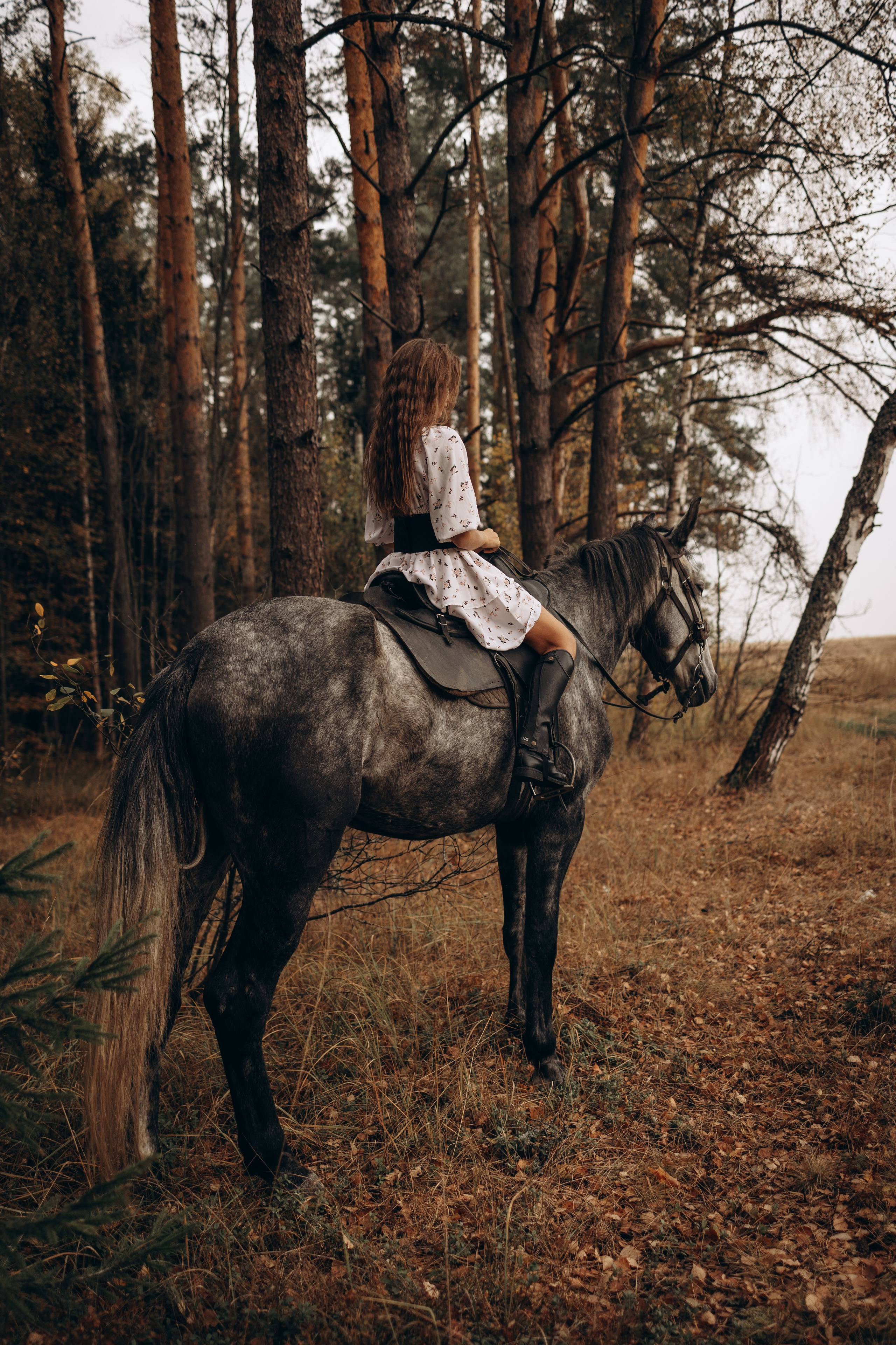 Лошади. Ваш фотограф в Москве и области Юлия