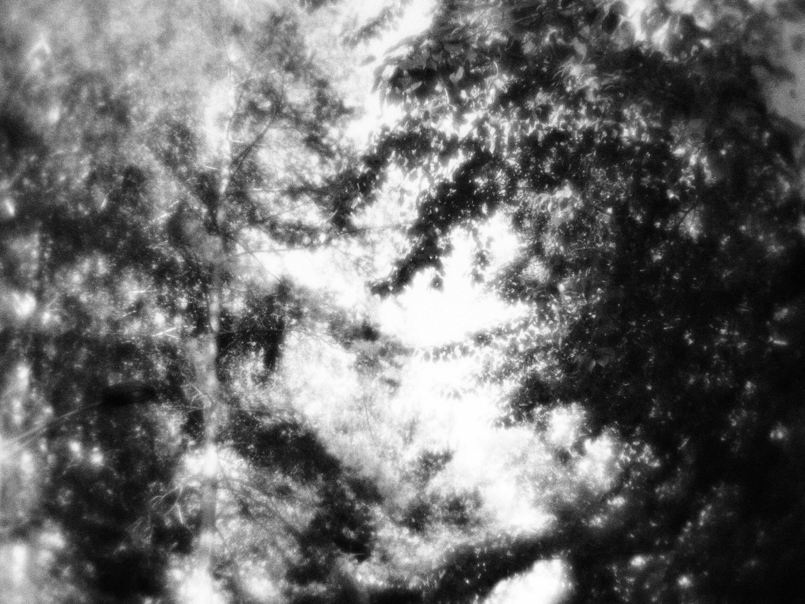 Внутривенные сны (2023)