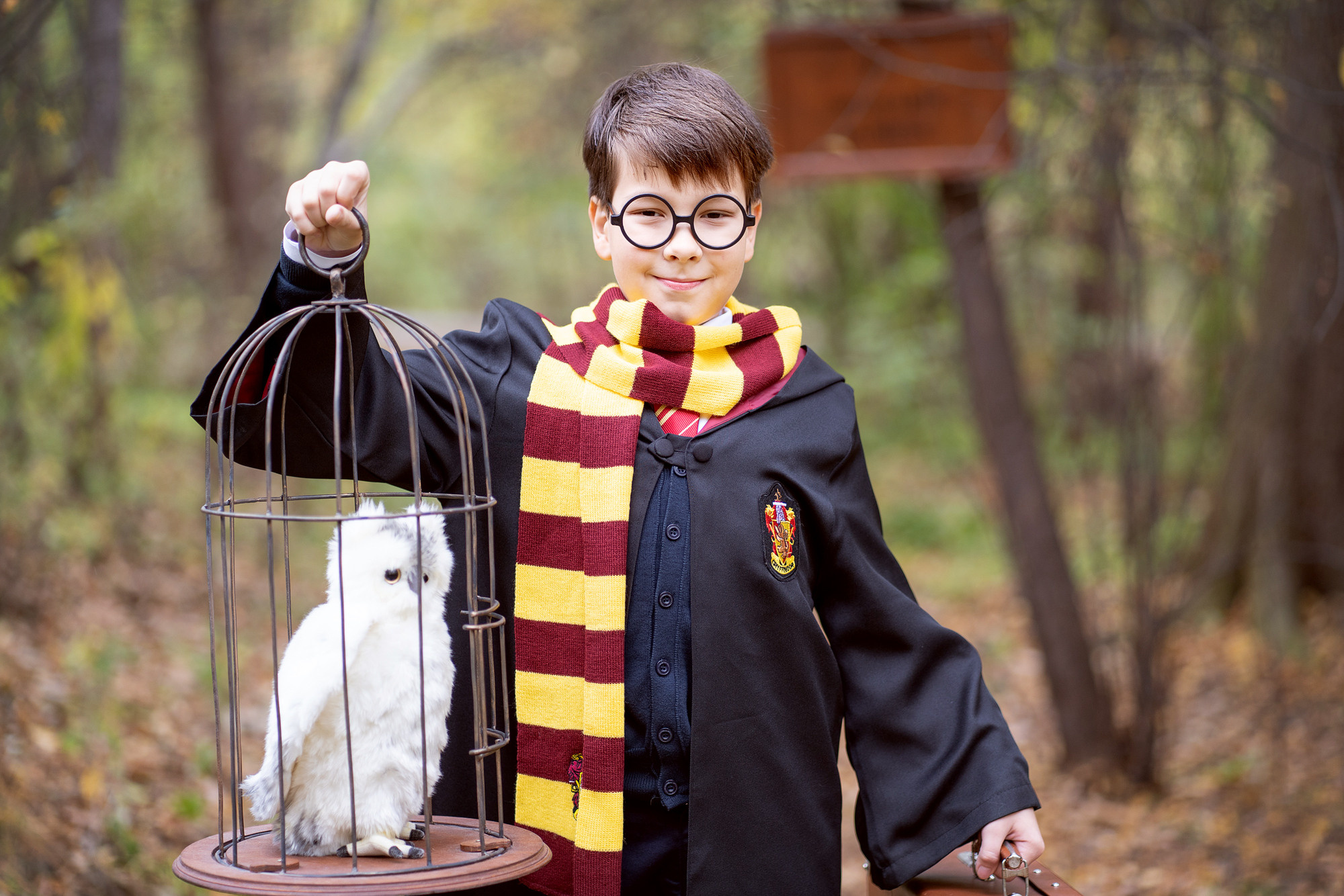 Гарри Поттер в Запретном лесу — 2. Семейный и детский фотограф в Хабаровске Анна Гриневич