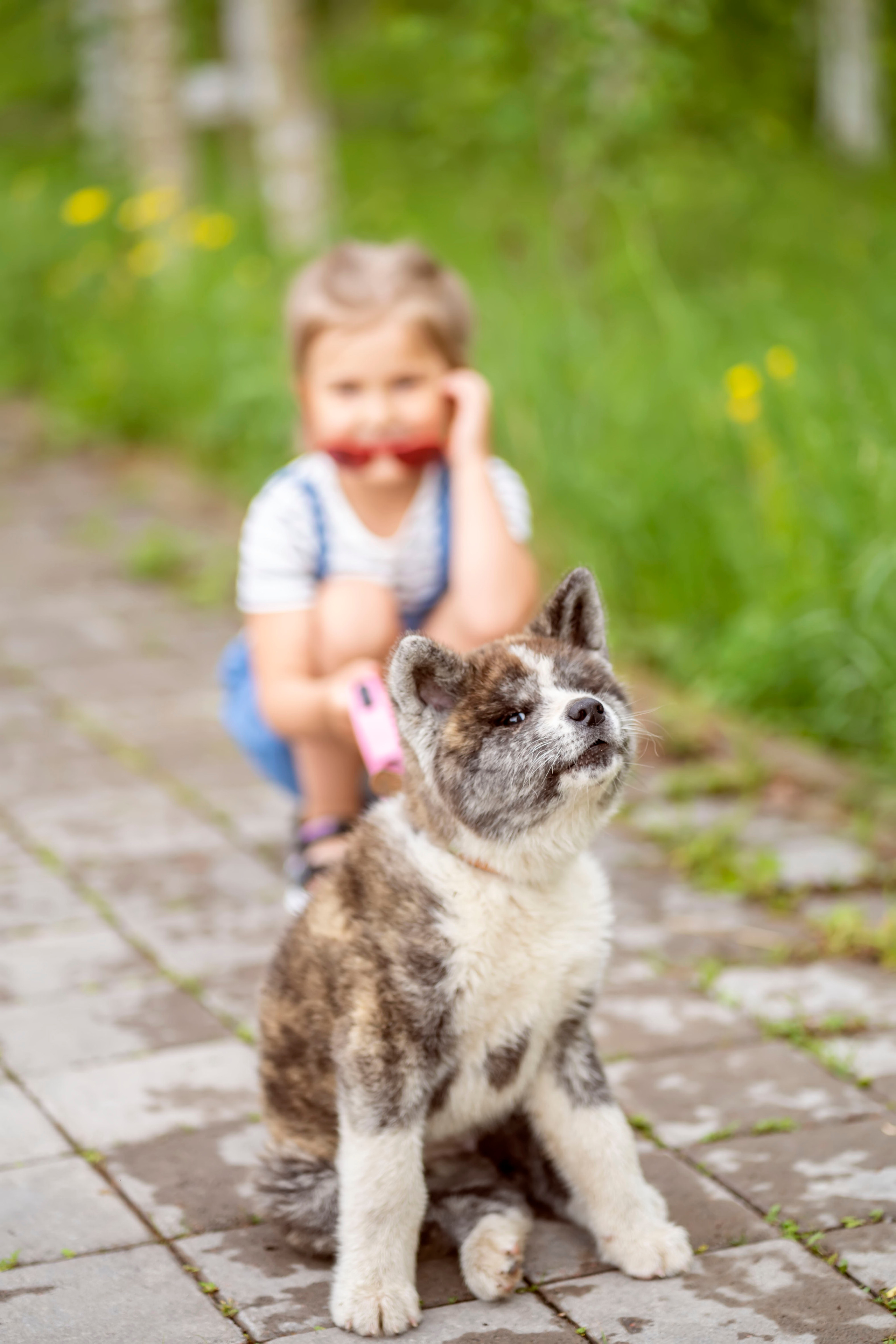 Летняя прогулка-2. Семейный и детский фотограф в Хабаровске Анна Гриневич