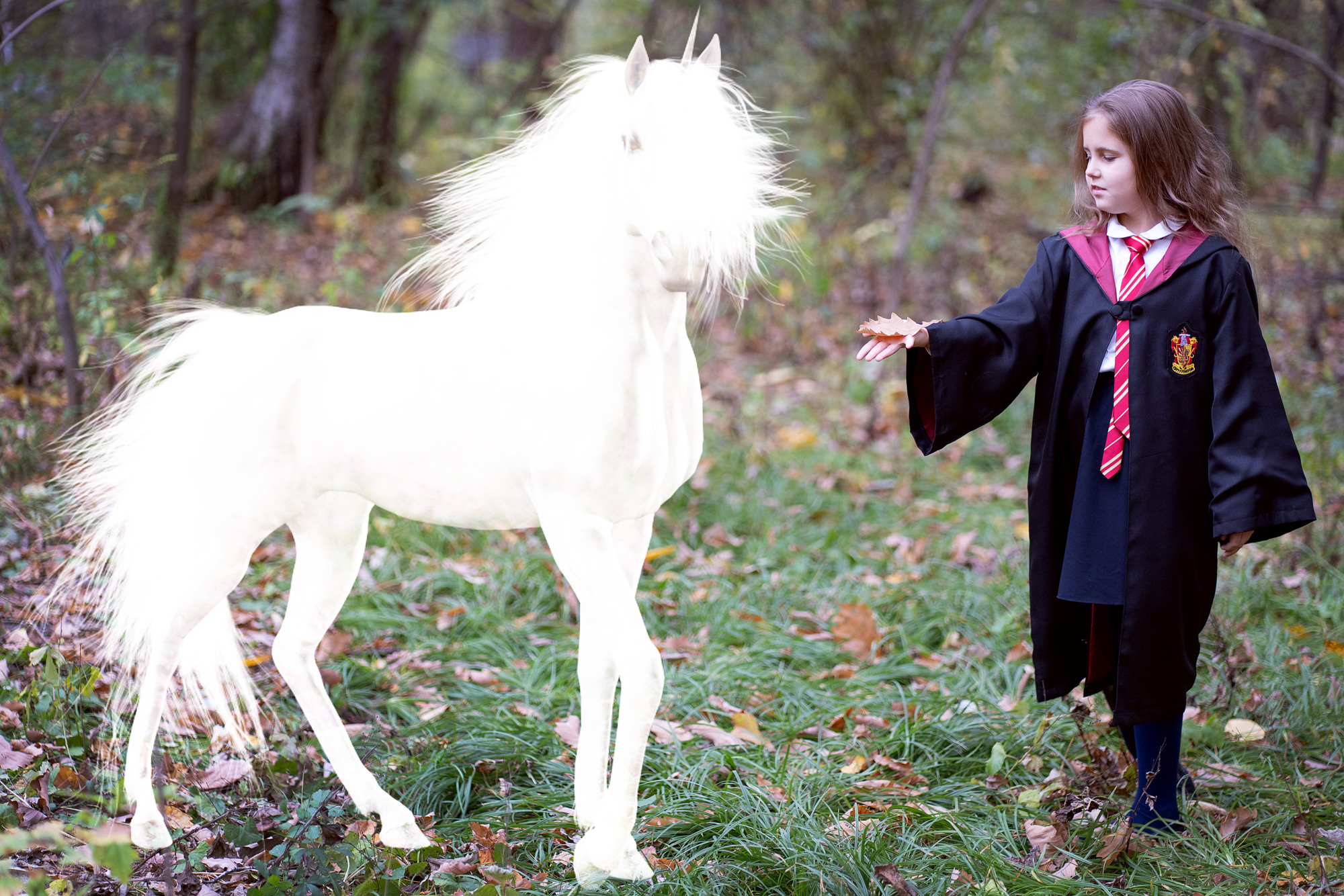 Гарри Поттер в Запретном лесу — 2. Семейный и детский фотограф в Хабаровске Анна Гриневич
