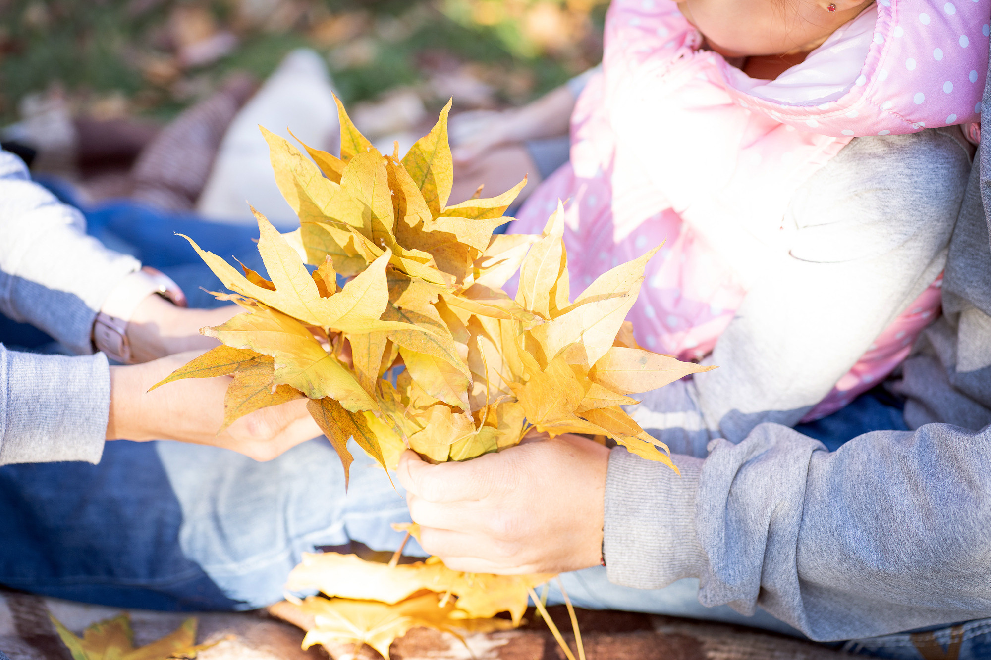 Осенняя прогулка-2. Семейный и детский фотограф в Хабаровске Анна Гриневич