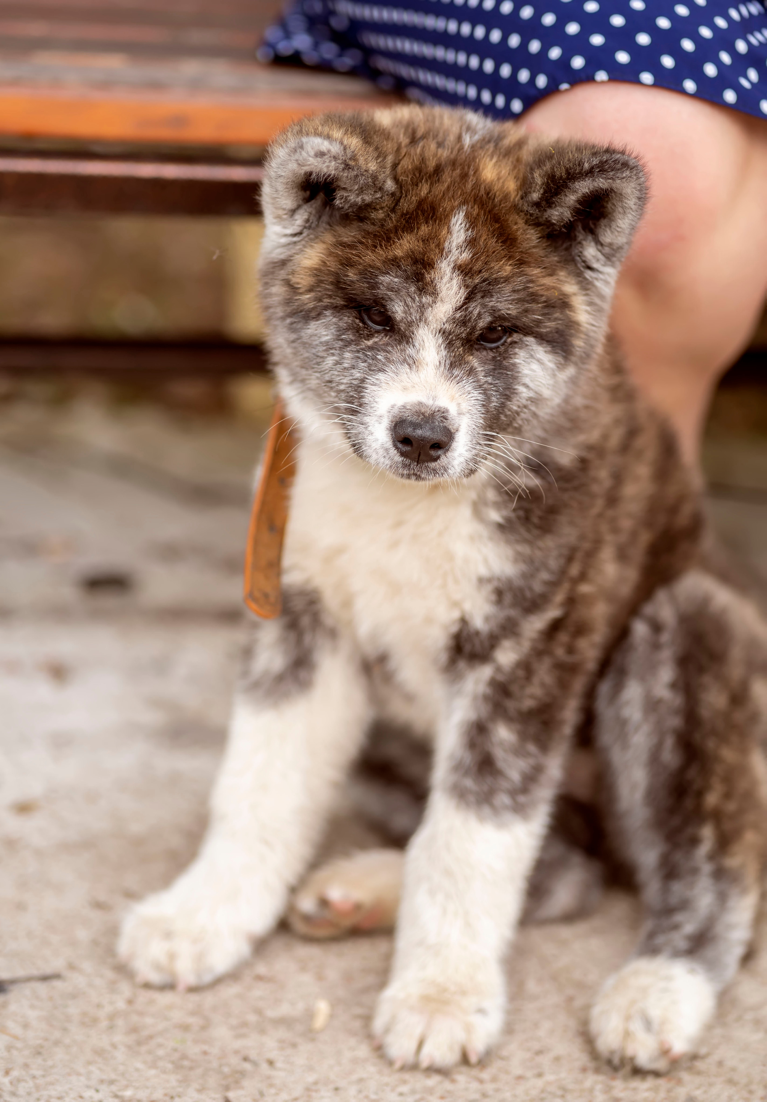 Летняя прогулка-2. Семейный и детский фотограф в Хабаровске Анна Гриневич