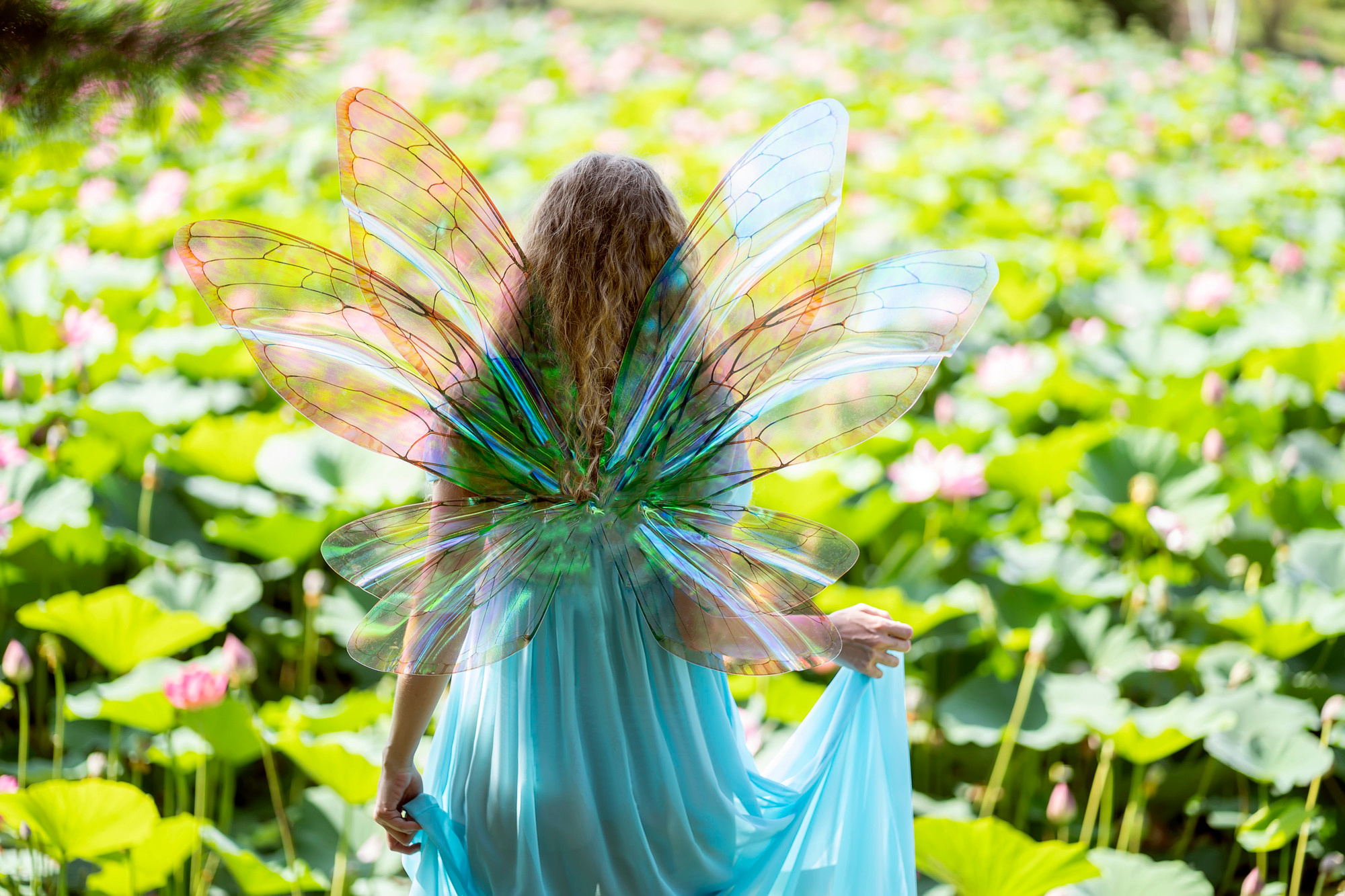 Фея в лотосах. Семейный и детский фотограф в Хабаровске Анна Гриневич