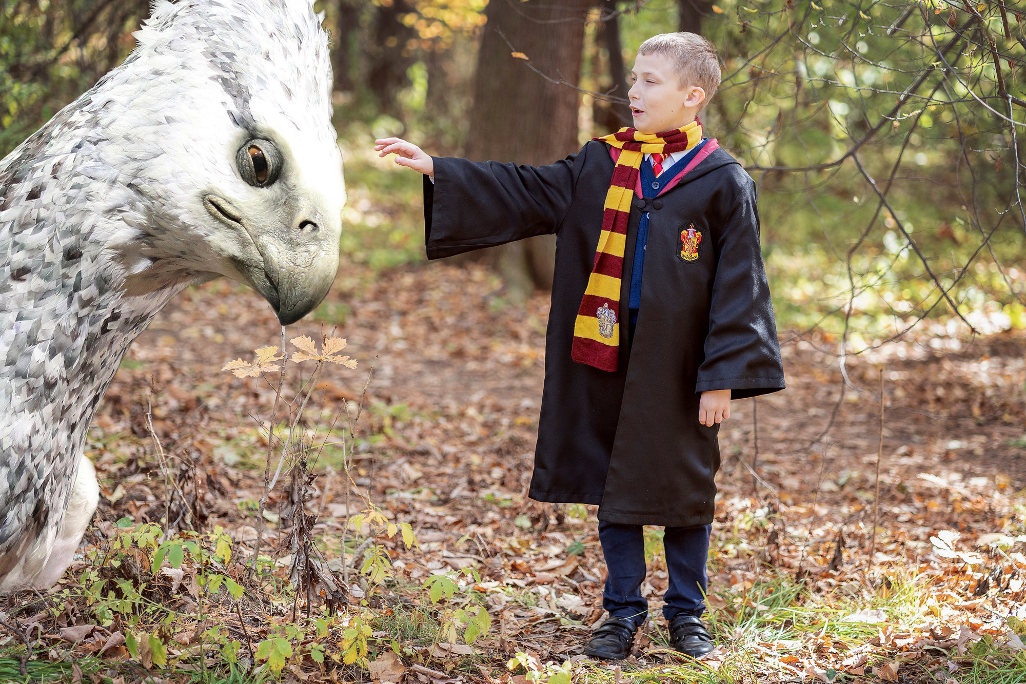 Гарри Поттер в Запретном лесу — 2. Семейный и детский фотограф в Хабаровске Анна Гриневич
