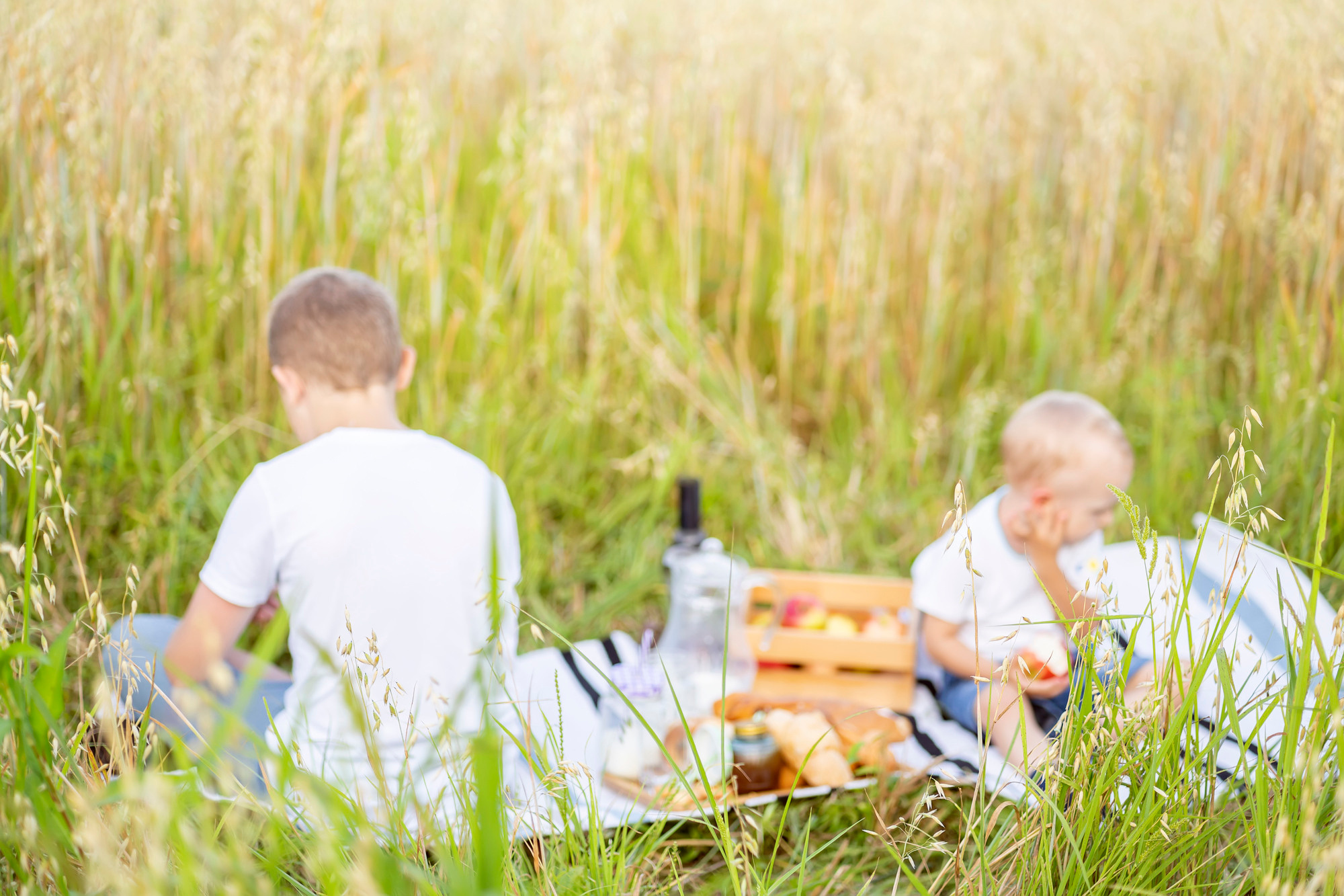Пикник в поле. Семейный и детский фотограф в Хабаровске Анна Гриневич