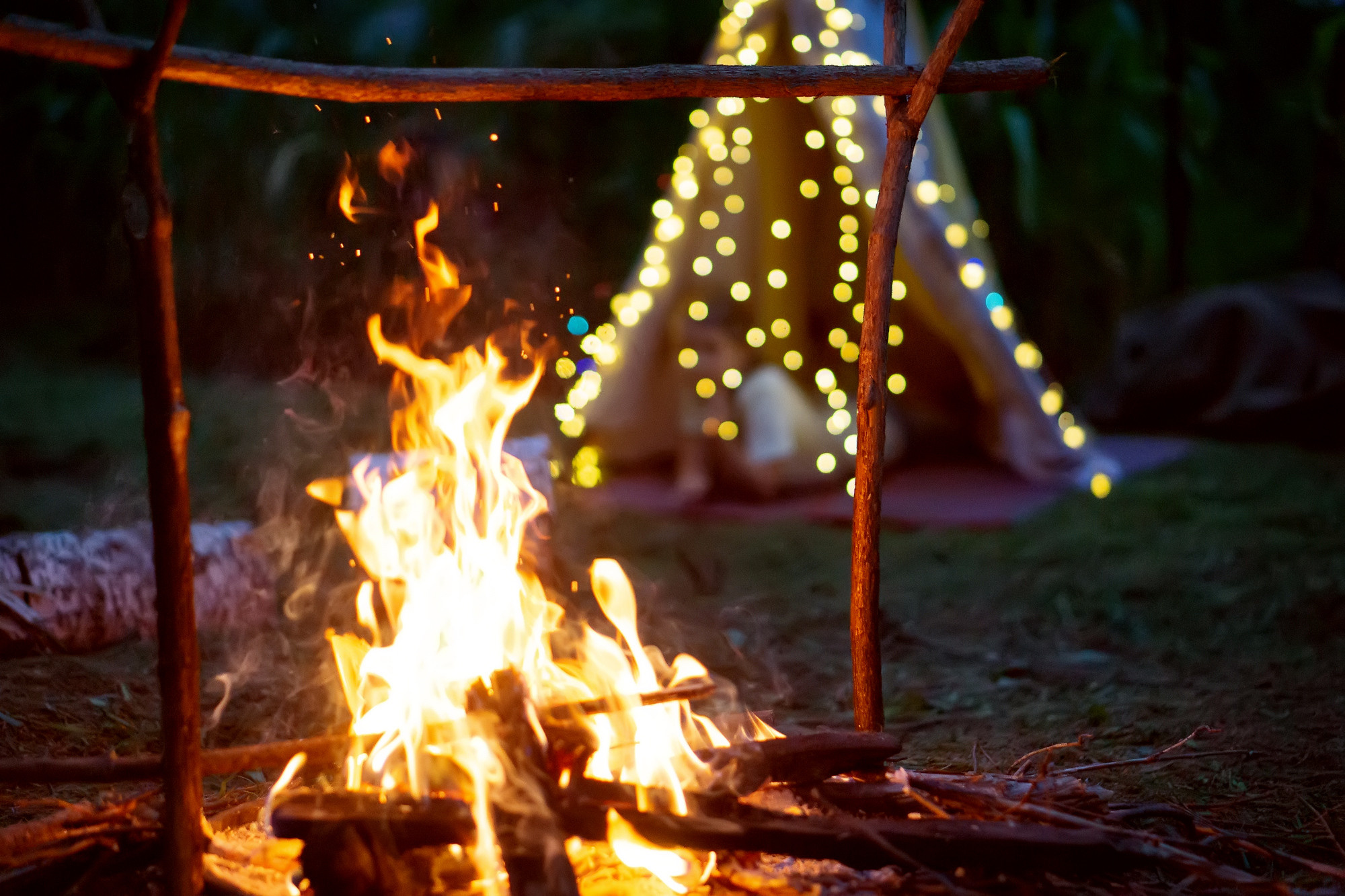 ВЕЧЕР у КОСТРА. Семейный и детский фотограф в Хабаровске Анна Гриневич