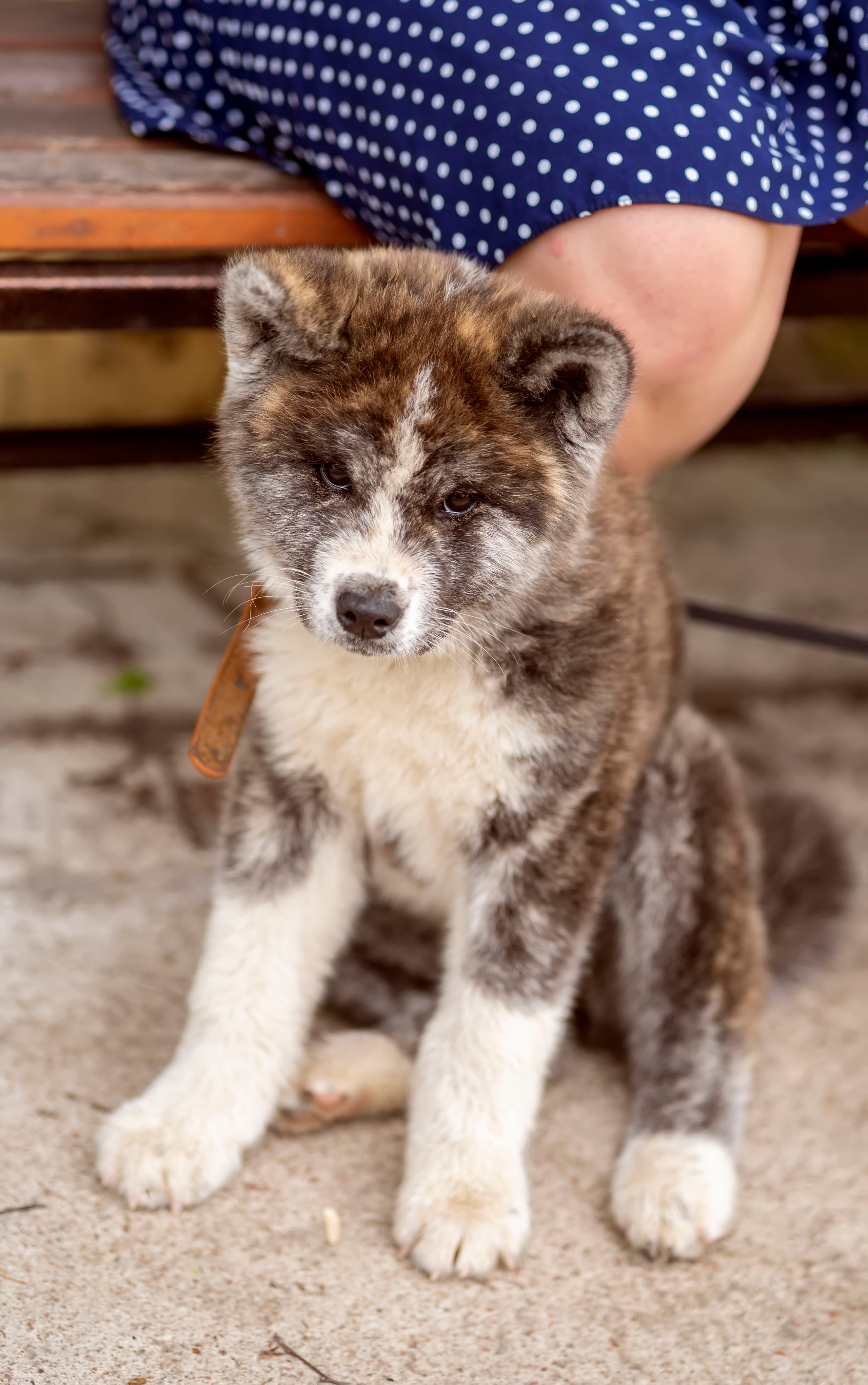 Летняя прогулка-2. Семейный и детский фотограф в Хабаровске Анна Гриневич