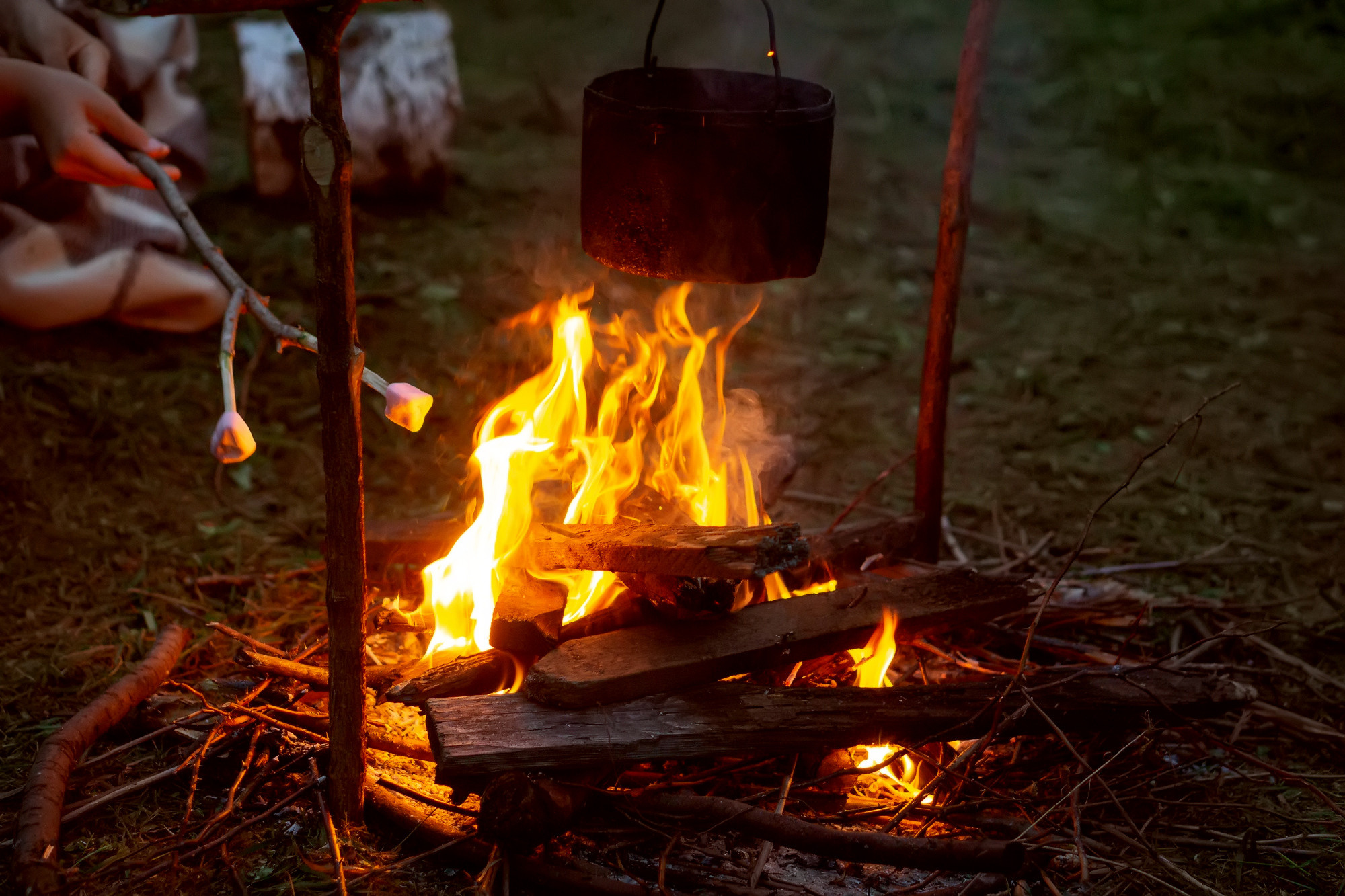 ВЕЧЕР у КОСТРА. Семейный и детский фотограф в Хабаровске Анна Гриневич