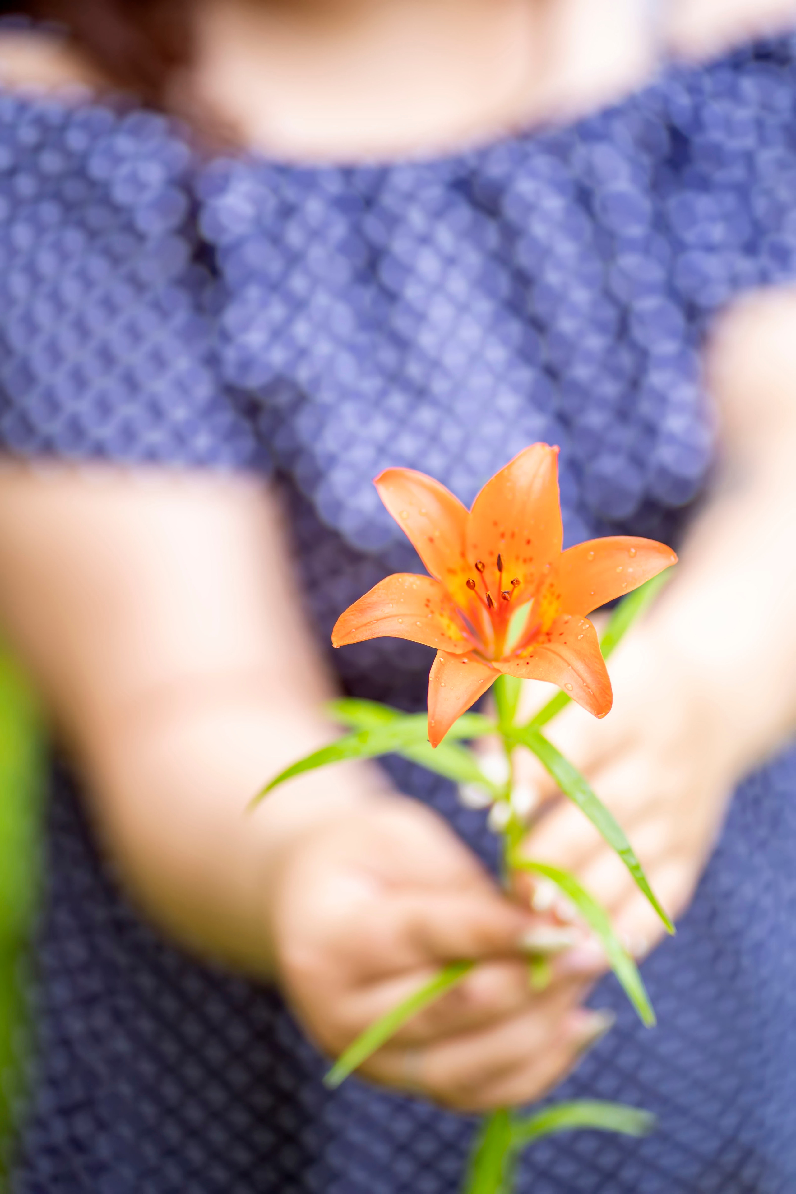 Летняя прогулка-2. Семейный и детский фотограф в Хабаровске Анна Гриневич