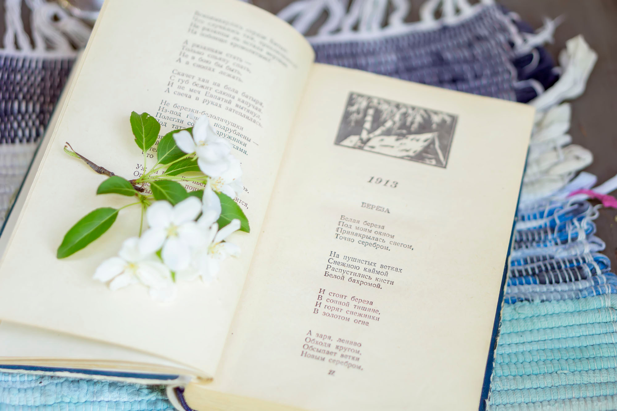 ЧЕРЕШНЯ. Семейный и детский фотограф в Хабаровске Анна Гриневич