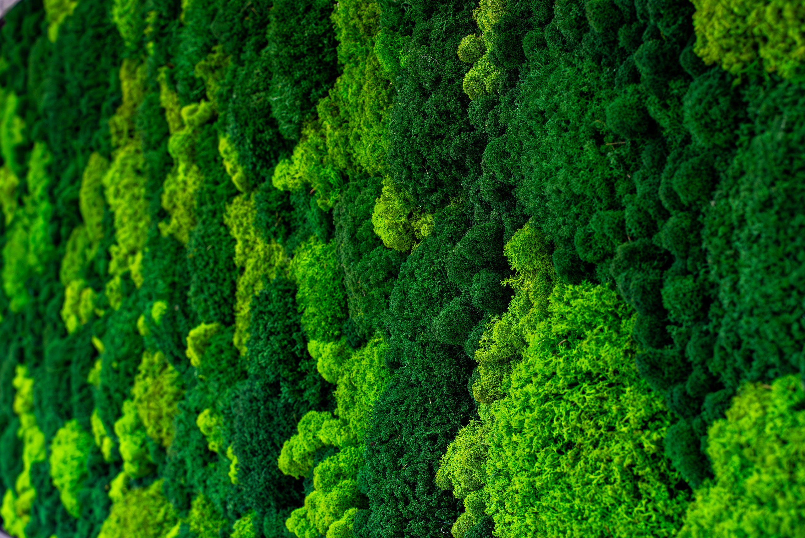 Индустриальный парк — озеленение. KUSTOV PRODUCTION — профессиональная фотосъёмка в Москве