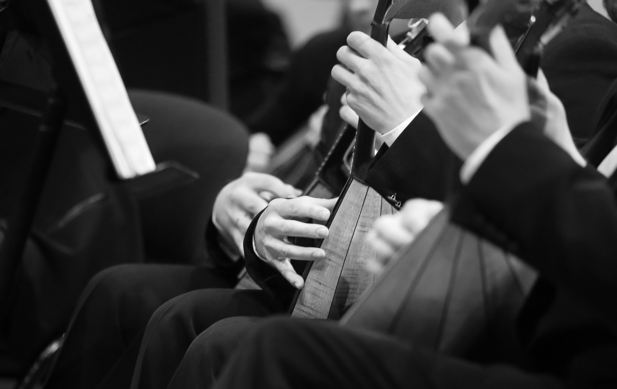 Концерт «Мировое турне» в Зале Чайковского. Дарья Письменюк / Darya Leitstern — фотограф, музыкант, журналист, путешественник