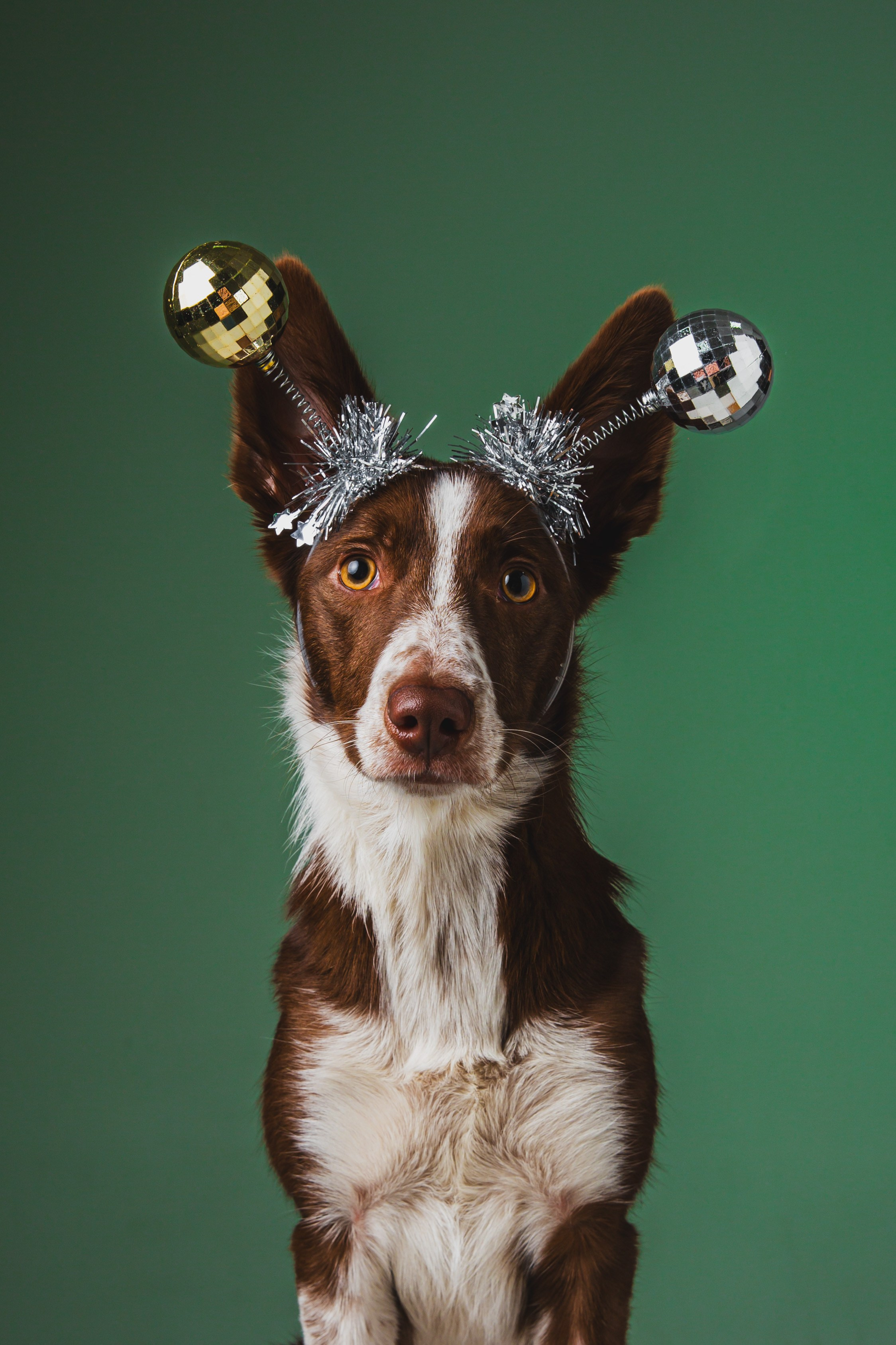 Воркшоп по импульсному свету