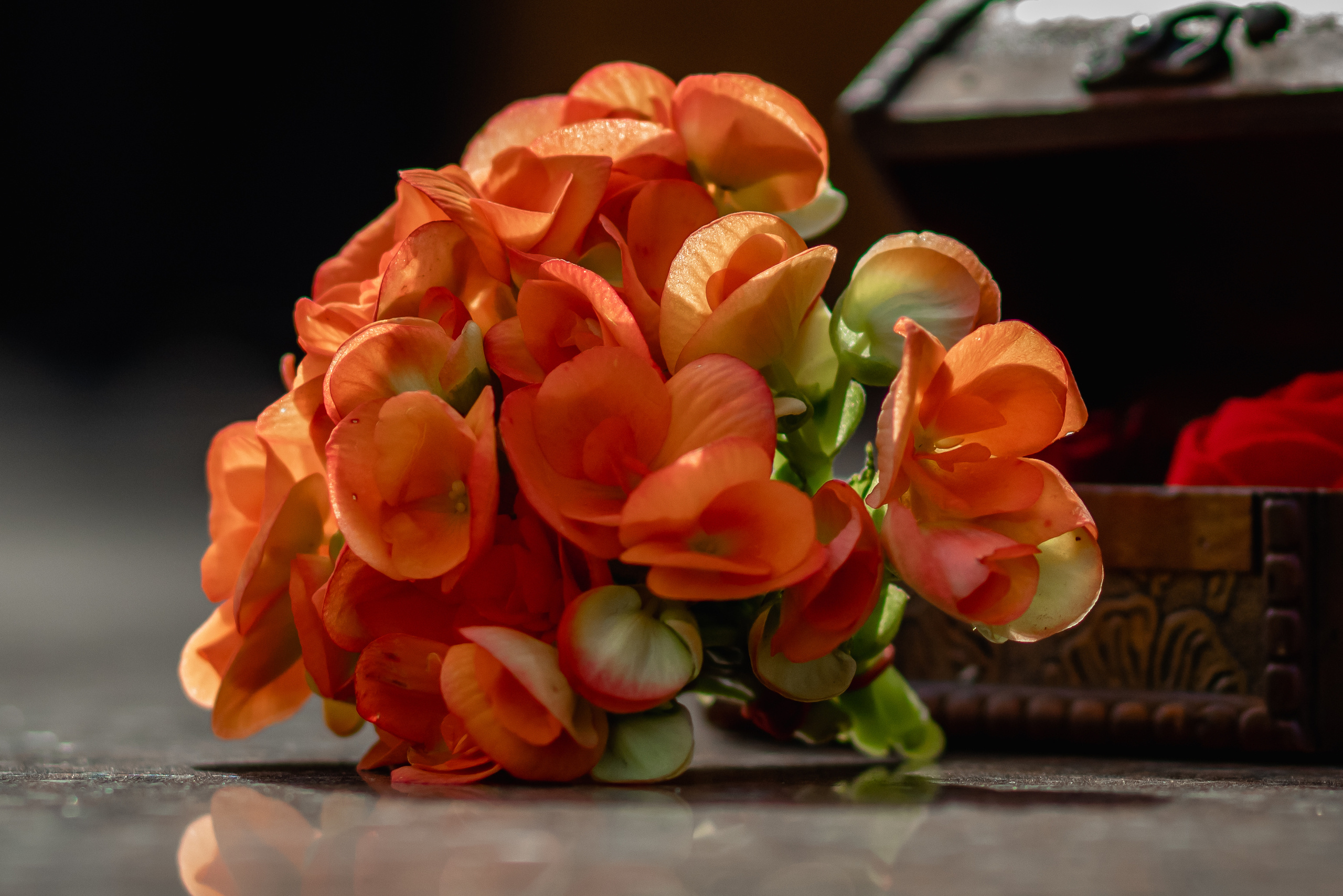 Лавстори в чёрном. Семейный фотограф в Минске Приболовец Светлана