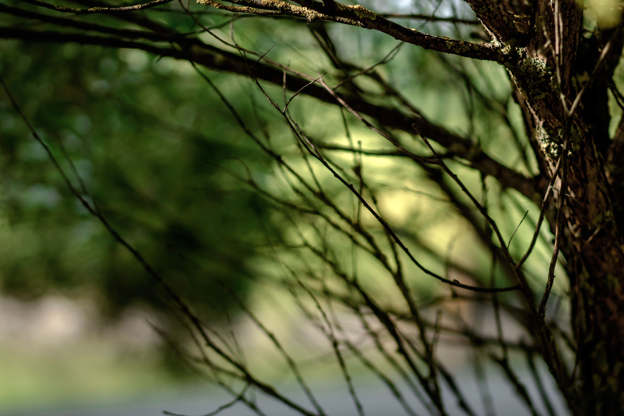 На пикник!. Семейный фотограф в Минске Приболовец Светлана