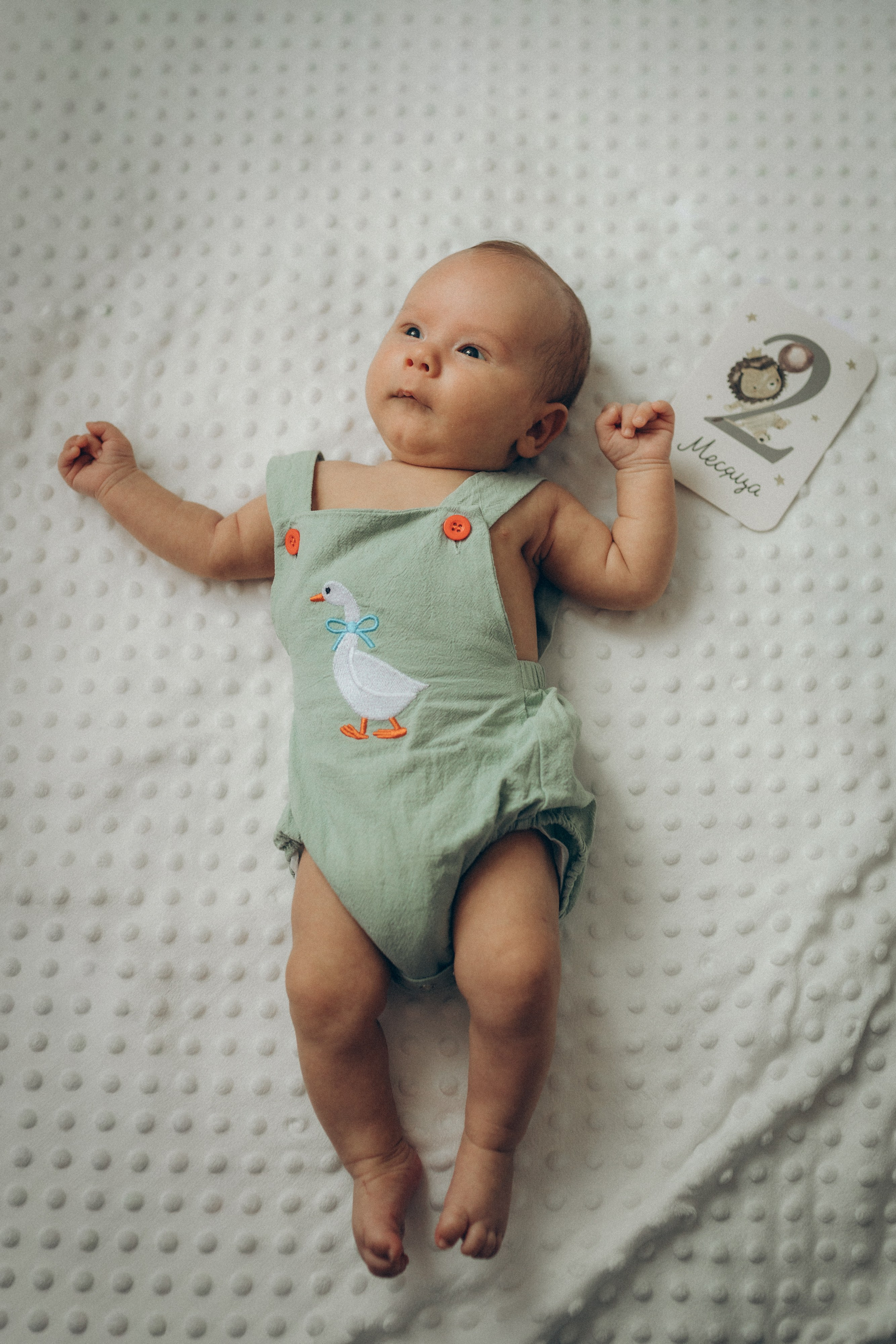 Аня, Кирилл и Ярослав. Семейный фотограф и фотограф на роды в Ростове-на-Дону Мухина Виктория